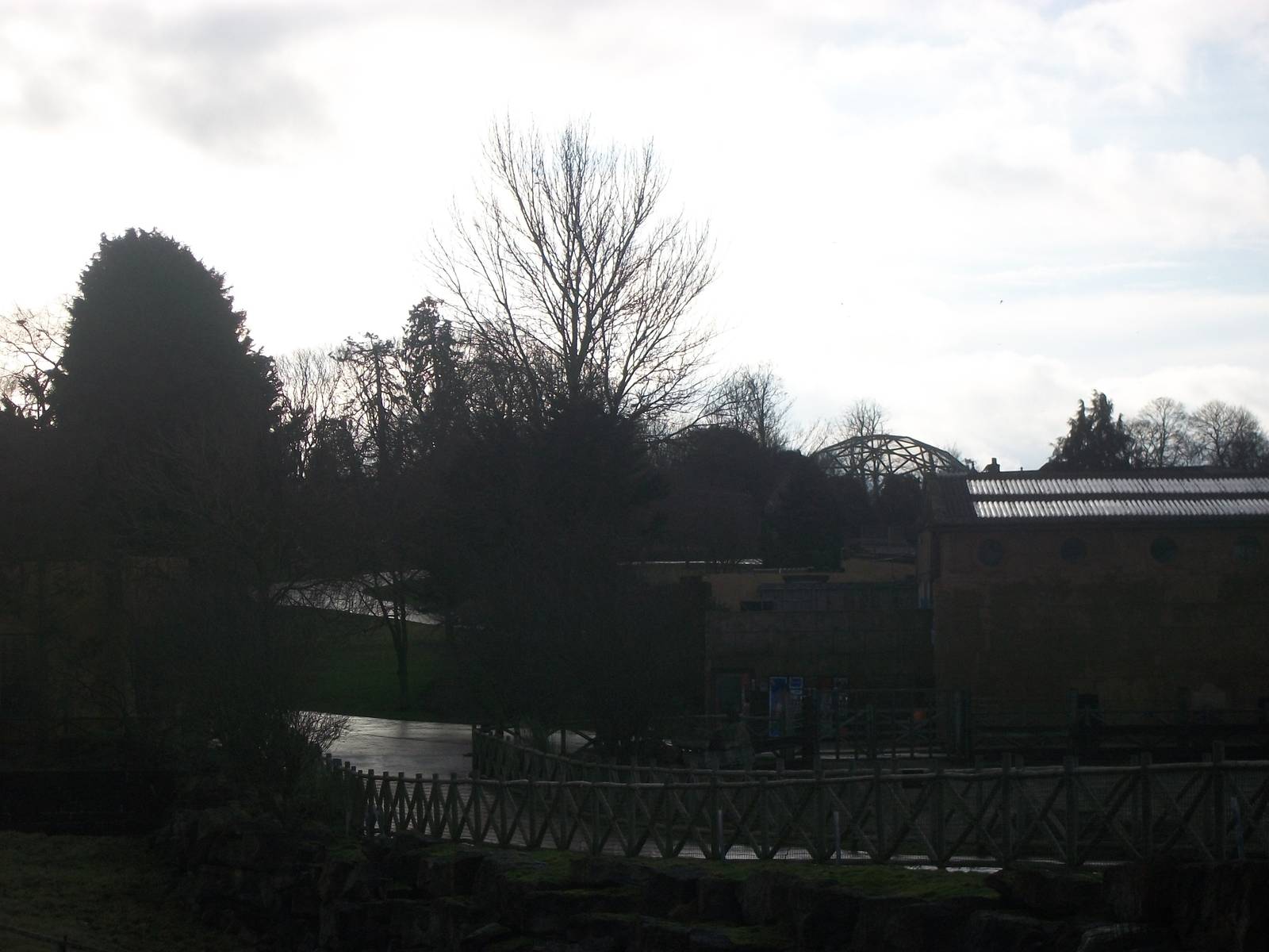 Looking up the zoo from below the Sealion Centre 4th January 2013
