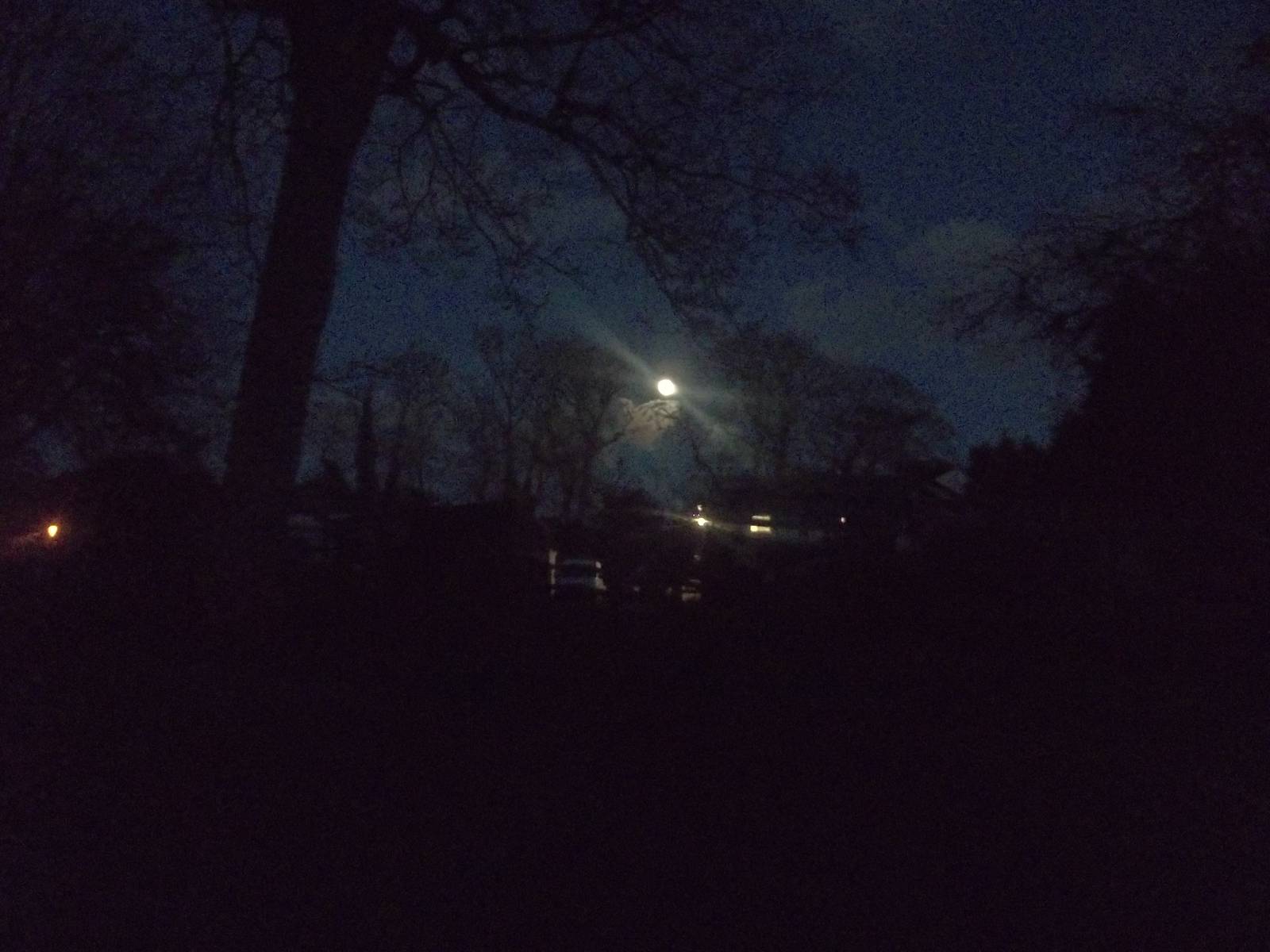 Looking up the zoo from outside the Walk-through Aviary, 3rd January 2015