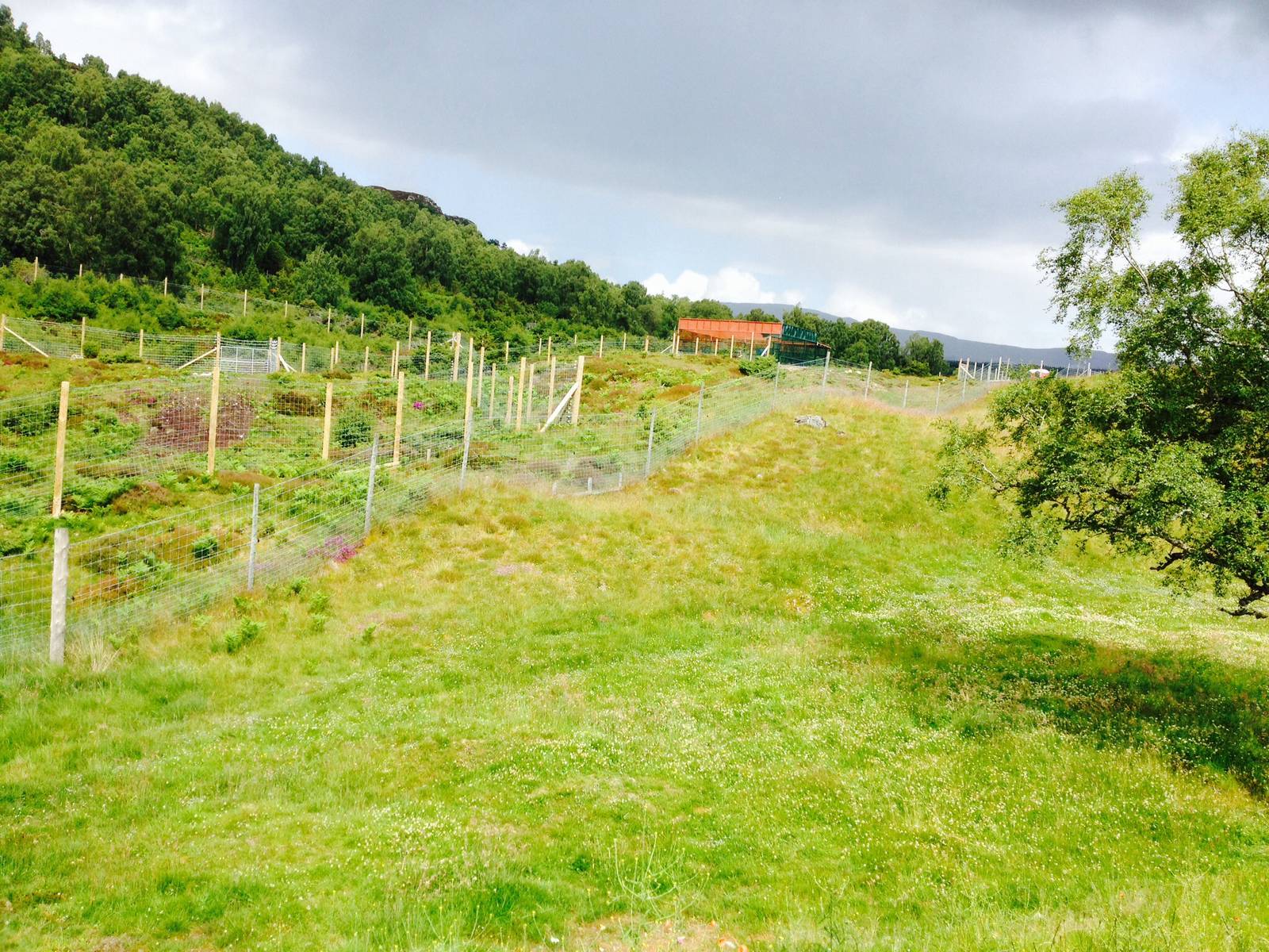 Looking up towards the off show male polar bear enclosure