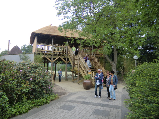 Lookout at the new Lion Enclosure