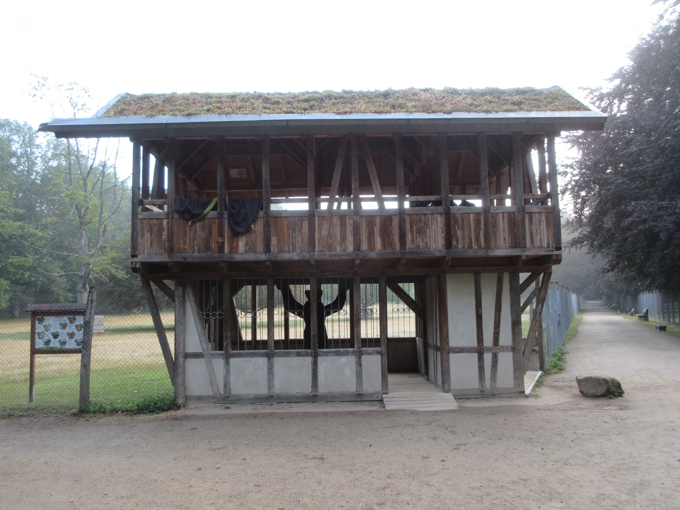 Lookout into Mouflon Exhibit