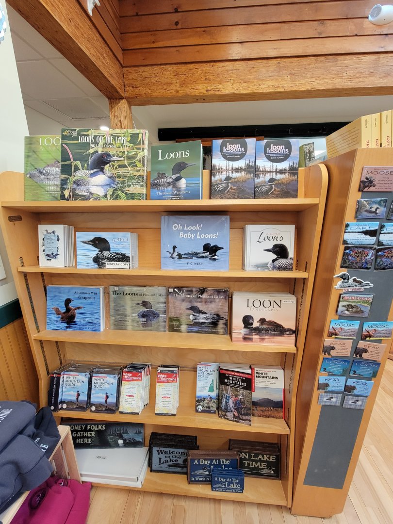 Loon Center, NH - So many loon books!