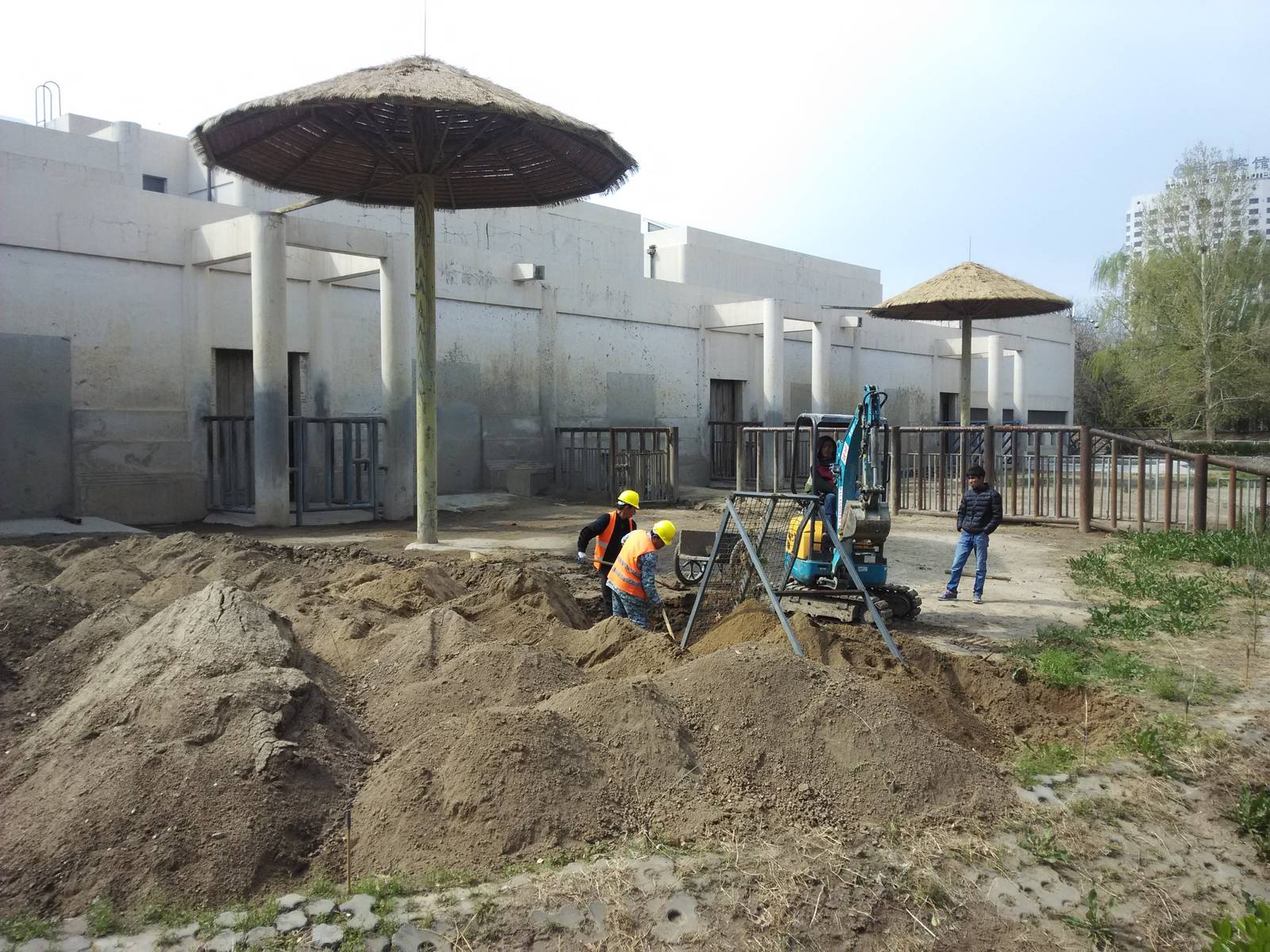 Loosen the soil of elephant exhibit