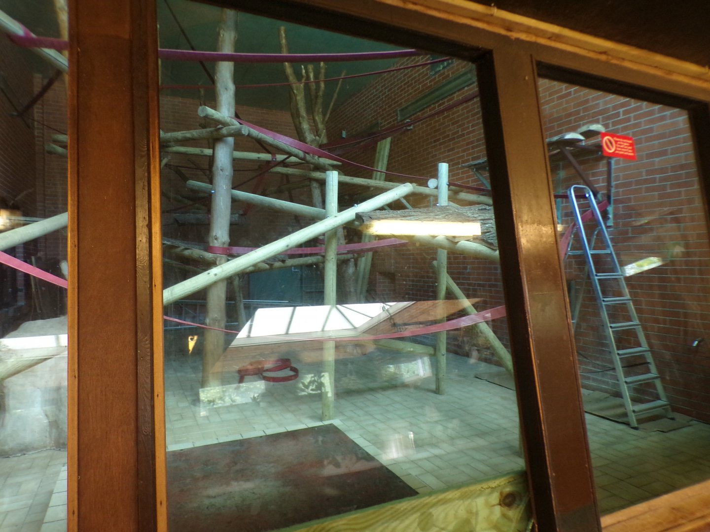 Lope’s former house 7.7.24