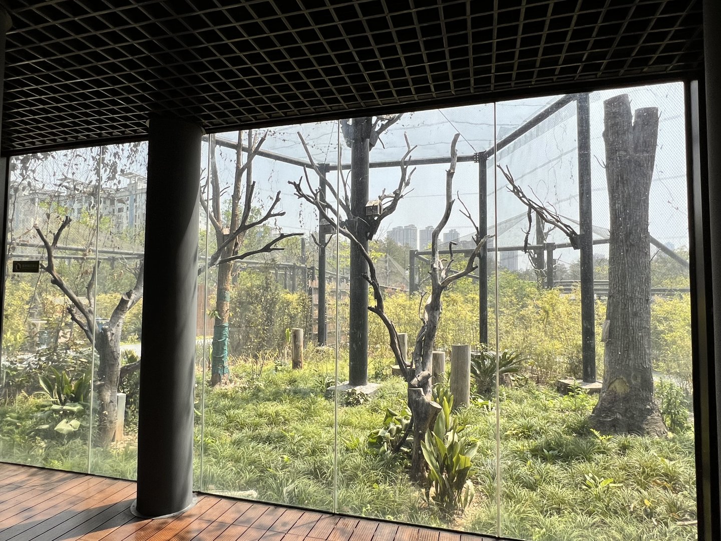 Lord Derby's Parakeet Aviary