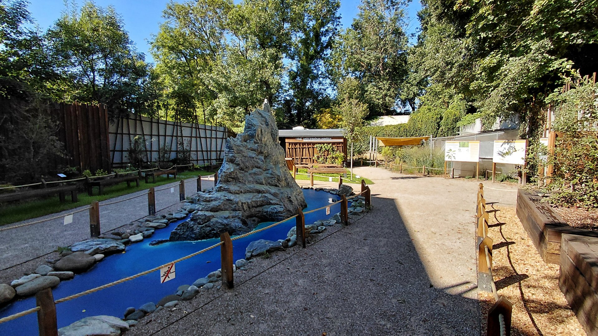 Lord Howe Island stick insect exhibit