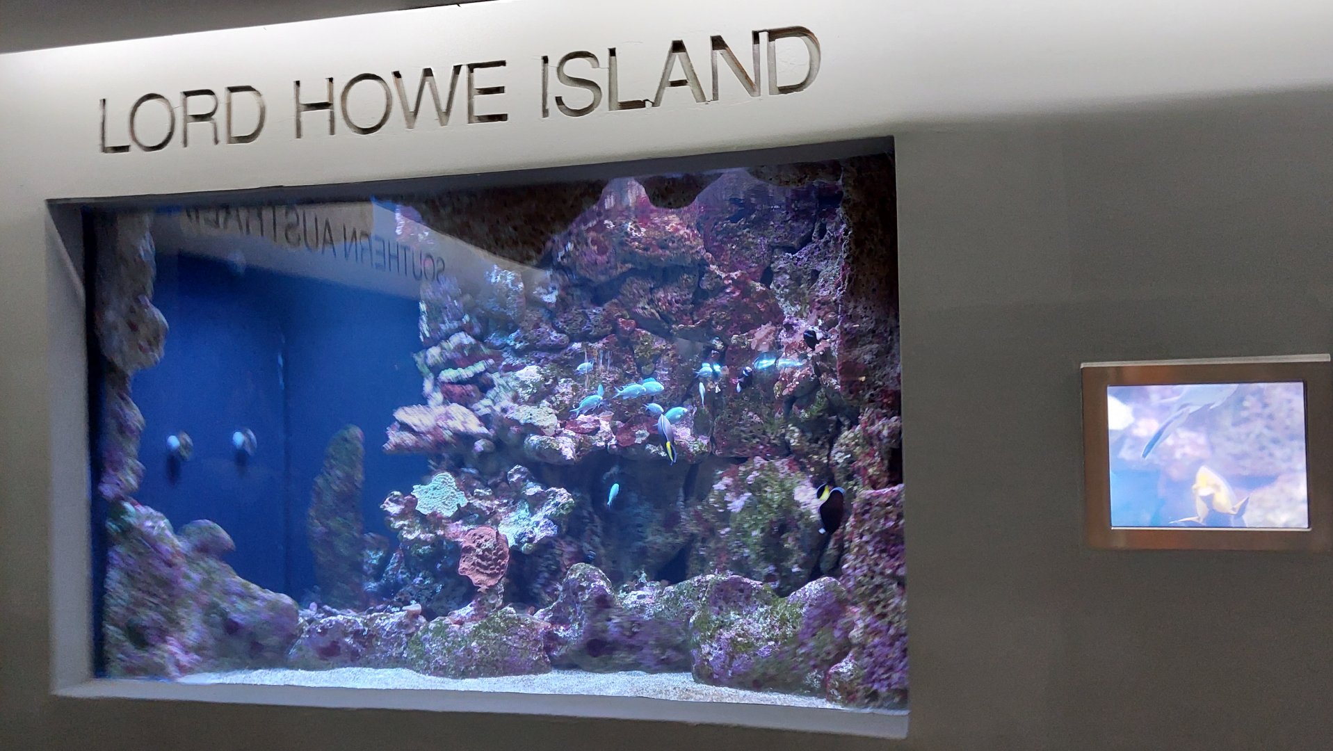 Lord Howe Island Tank