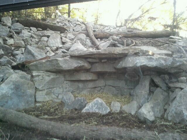 Lords of the Arctic-Arctic Fox exhibit
