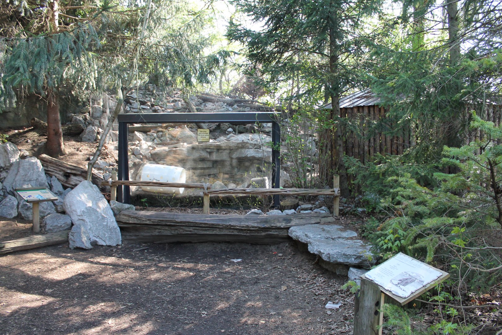 Lords of the Arctic- Arctic Fox Exhibit