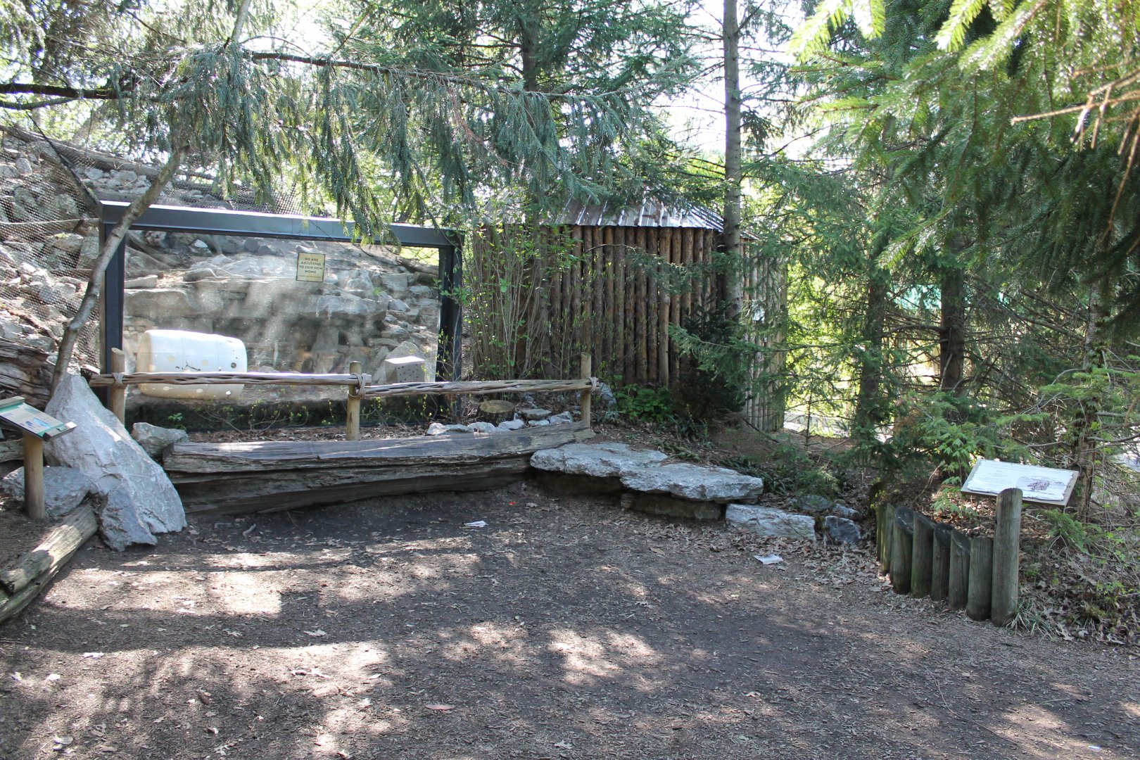 Lords of the Arctic- Arctic Fox Exhibit