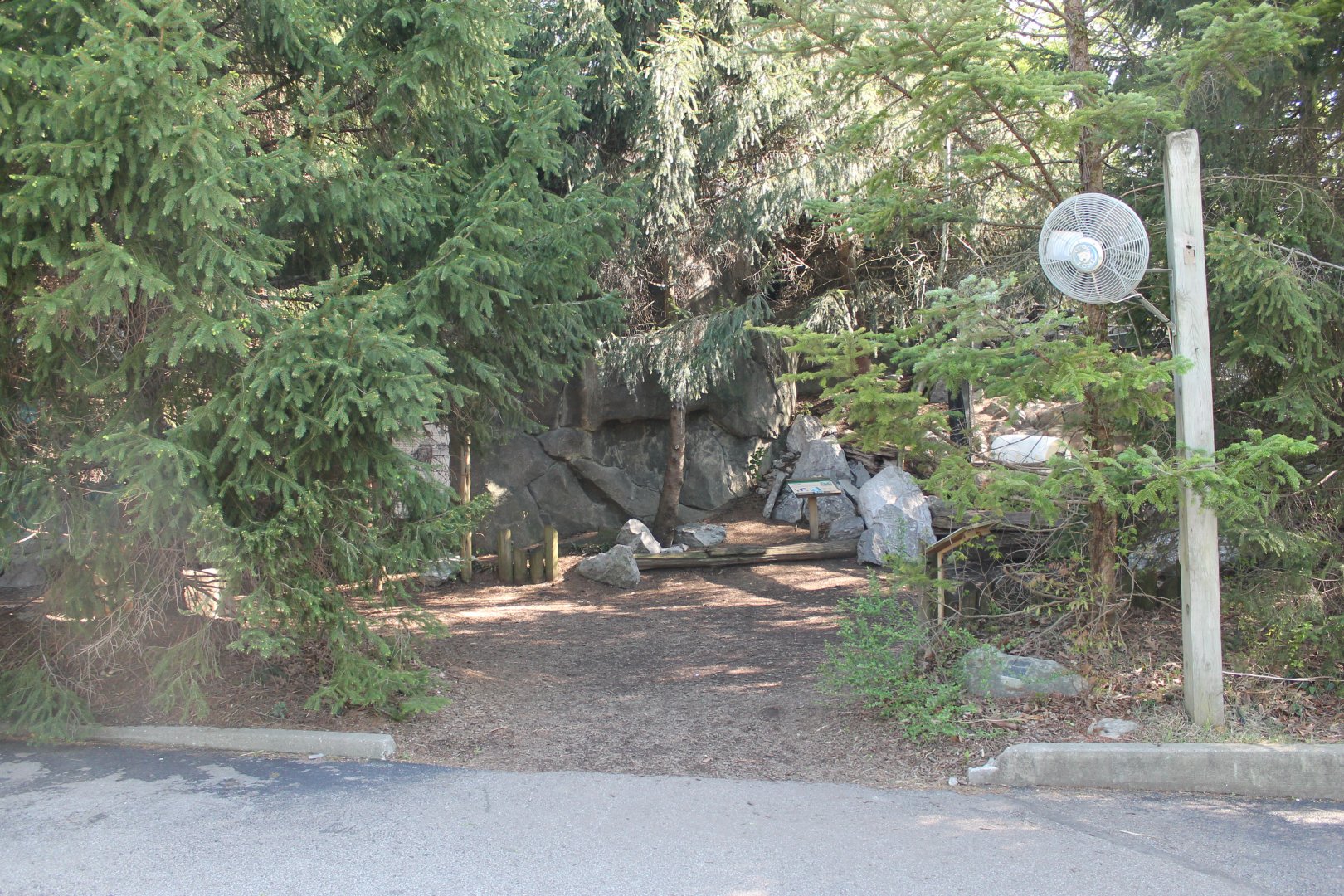 Lords of the Arctic- Arctic Fox & Underwater Viewing