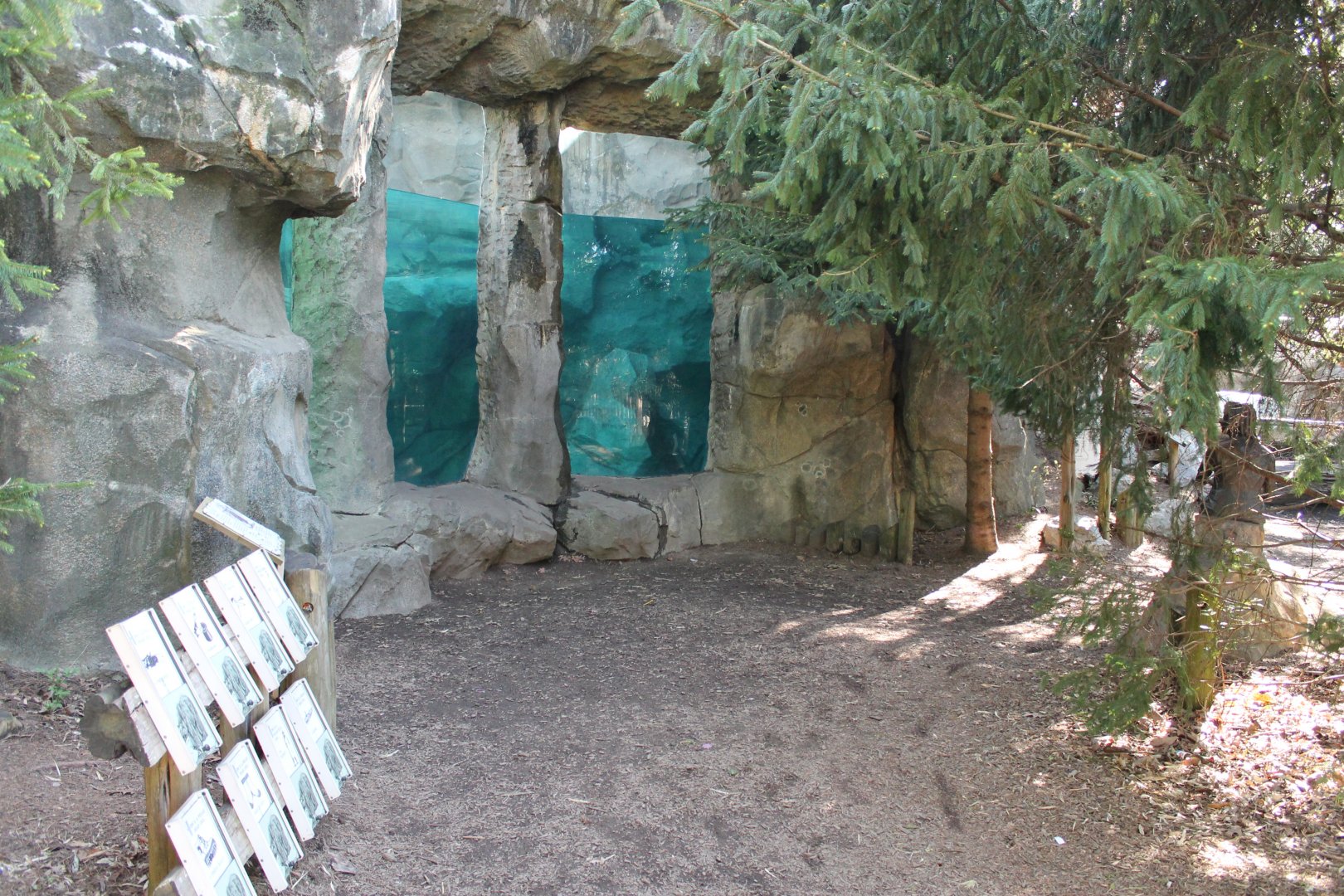 Lords of the Arctic- Polar Bear Underwater Viewing