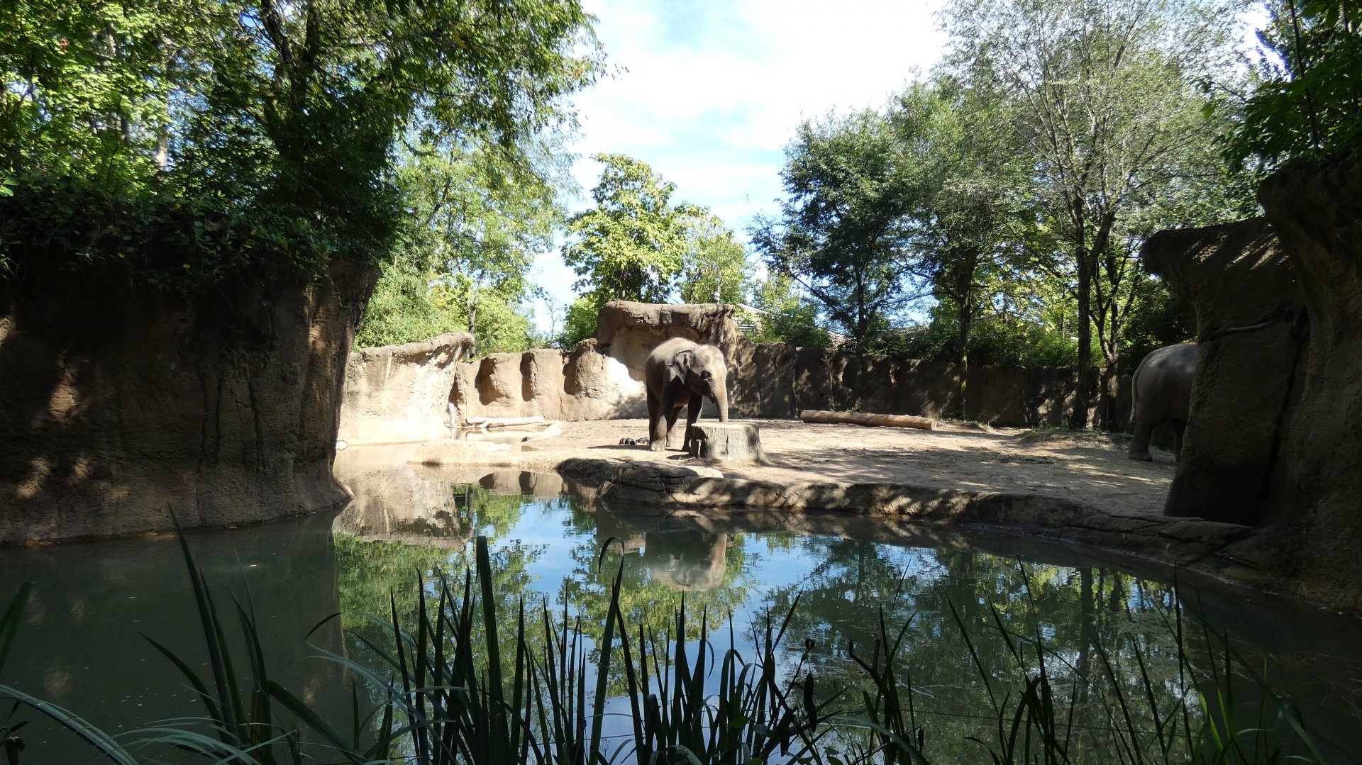 Lords of the Forests, Asia, River's Edge  - Sep. 2021