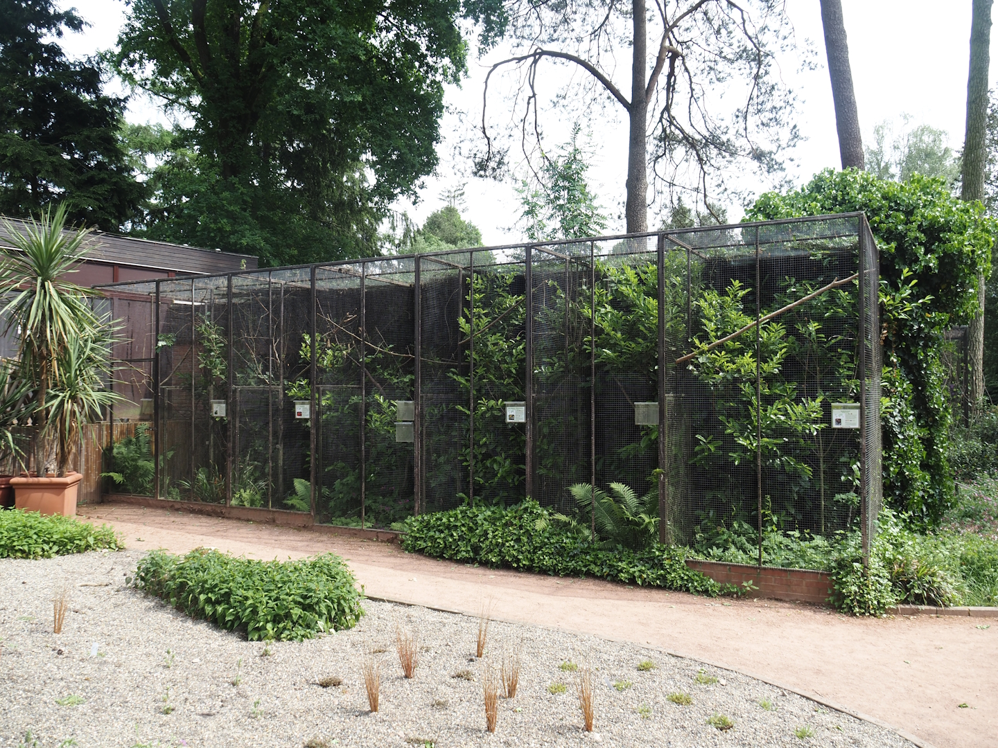 Lorikeet and small parrot aviaries near the kiwi house, 2024-05-21