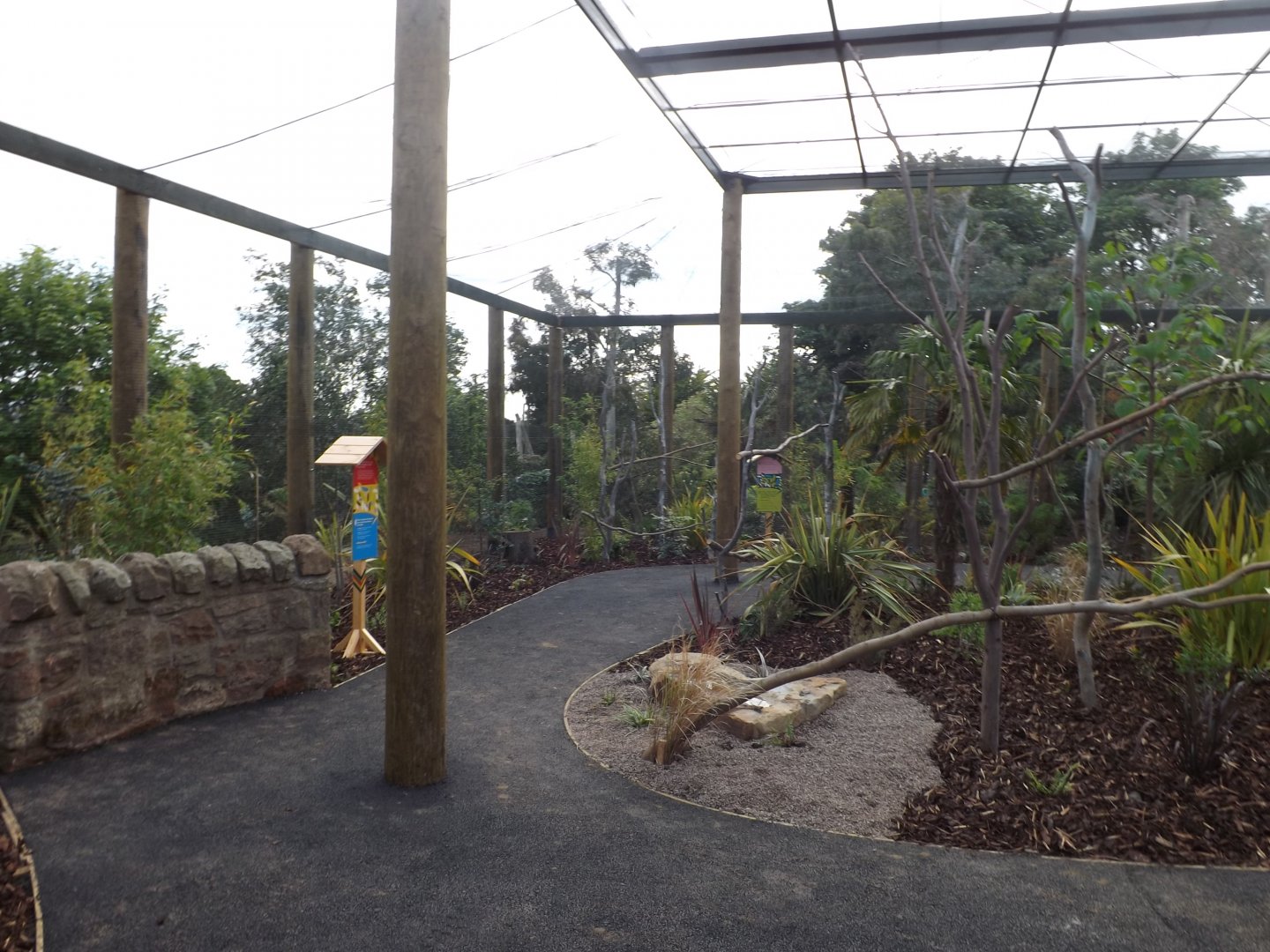 Lorikeet Aviary 22/06/2018