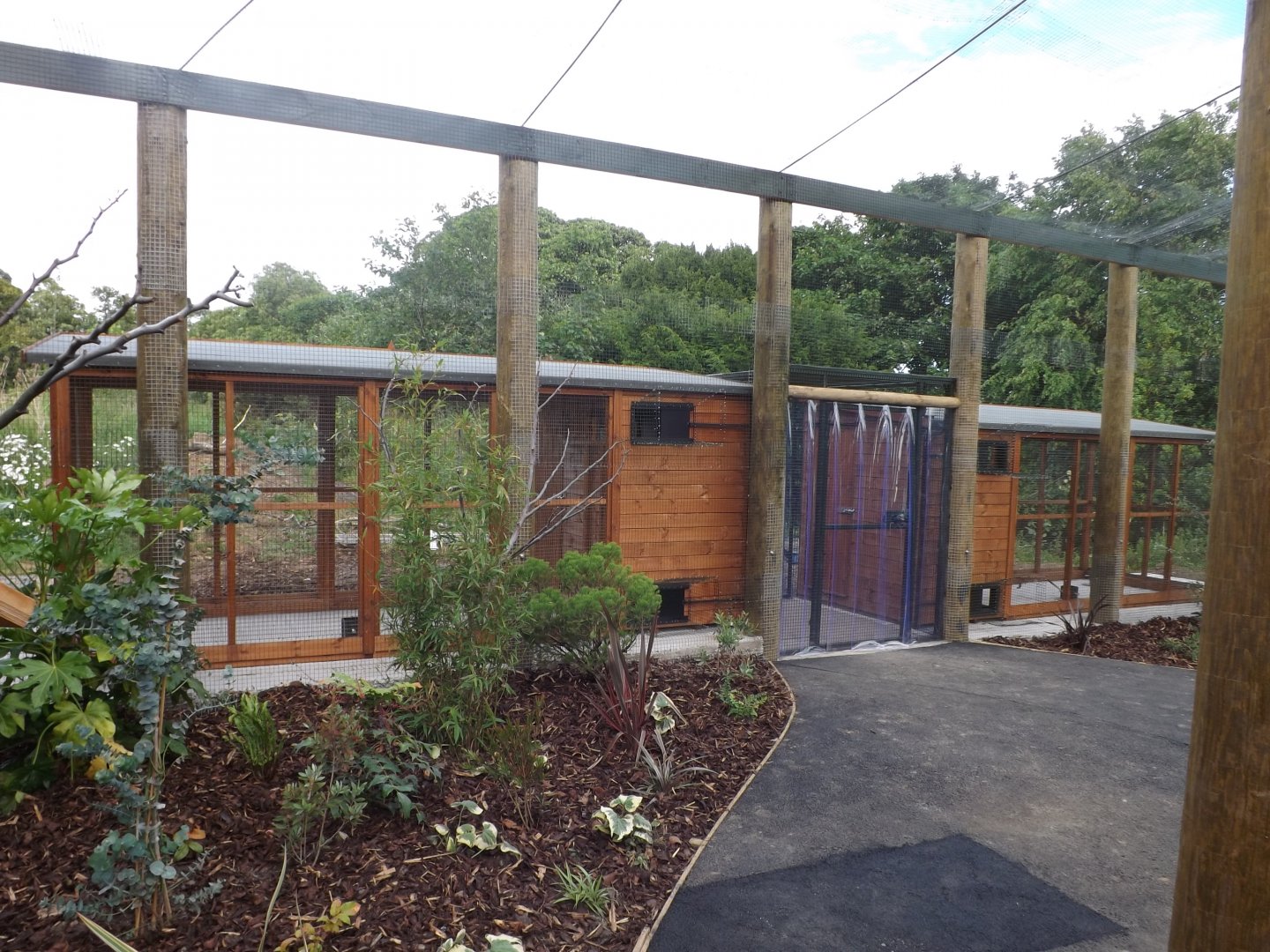 Lorikeet Aviary 22/06/2018