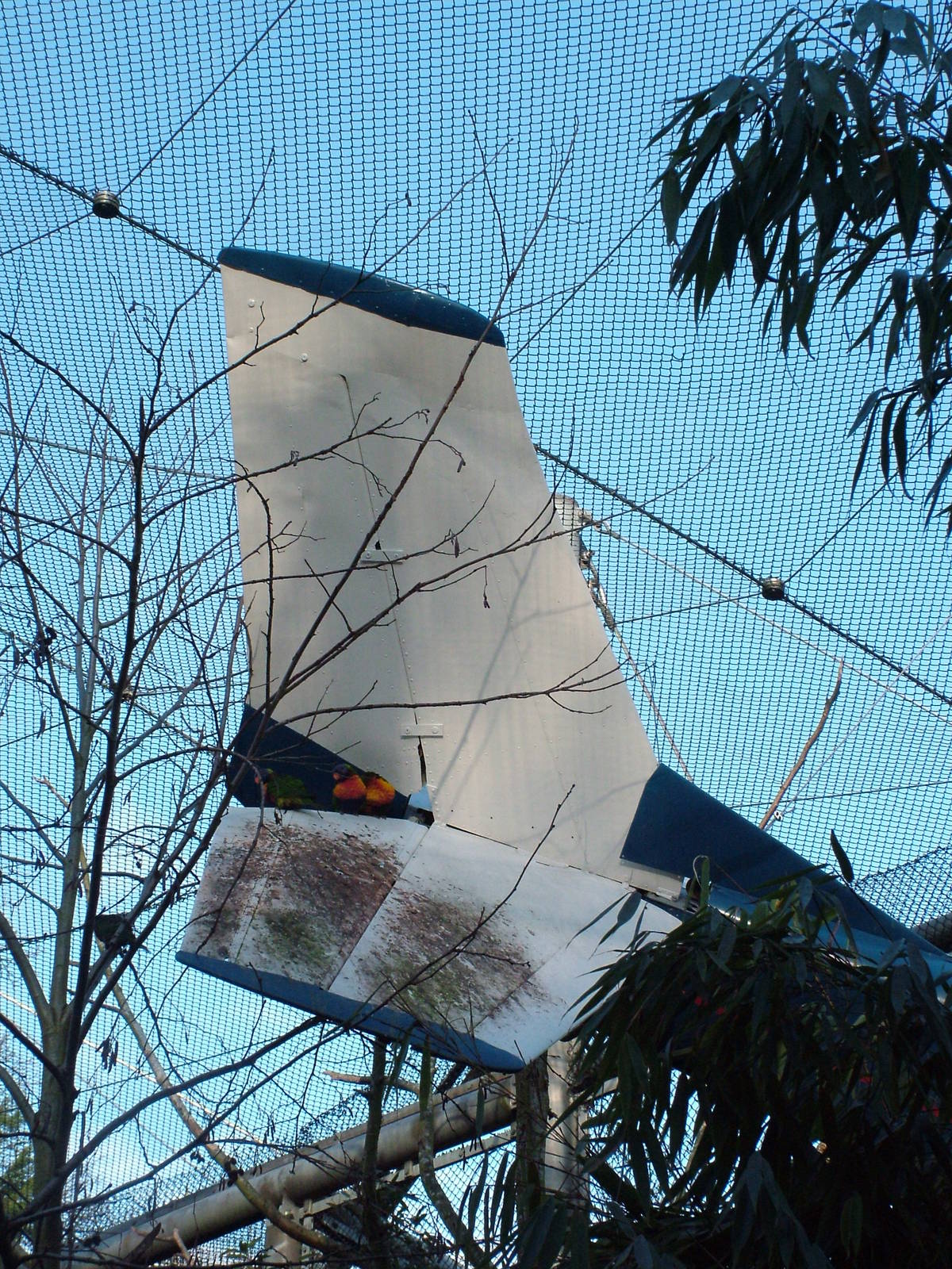 Lorikeet aviary at Bristol 19/12/09