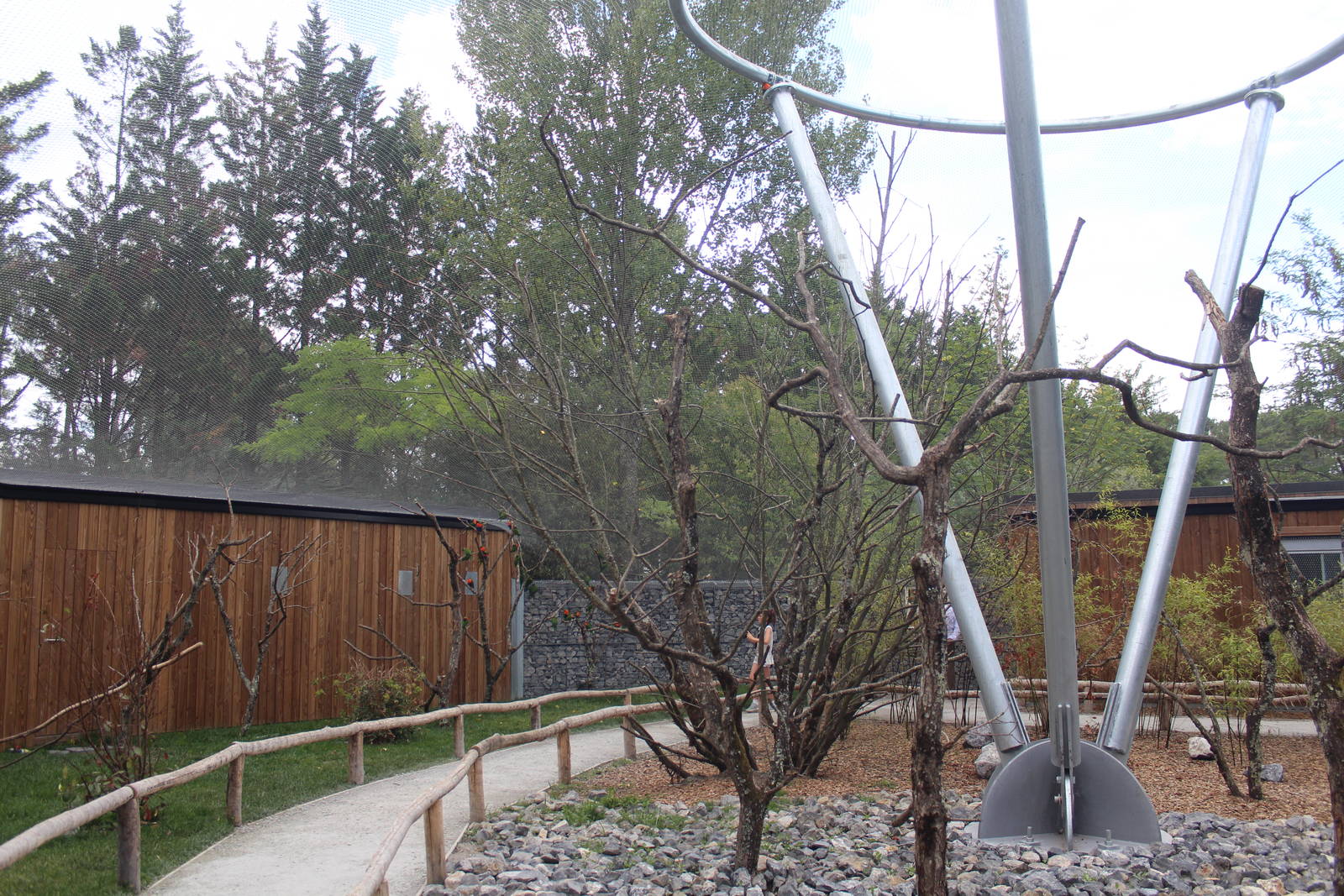 Lorikeet aviary, August 2016