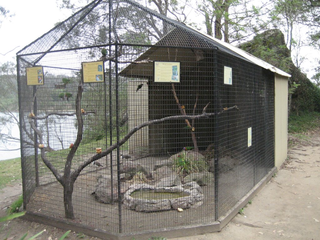 Lorikeet aviary