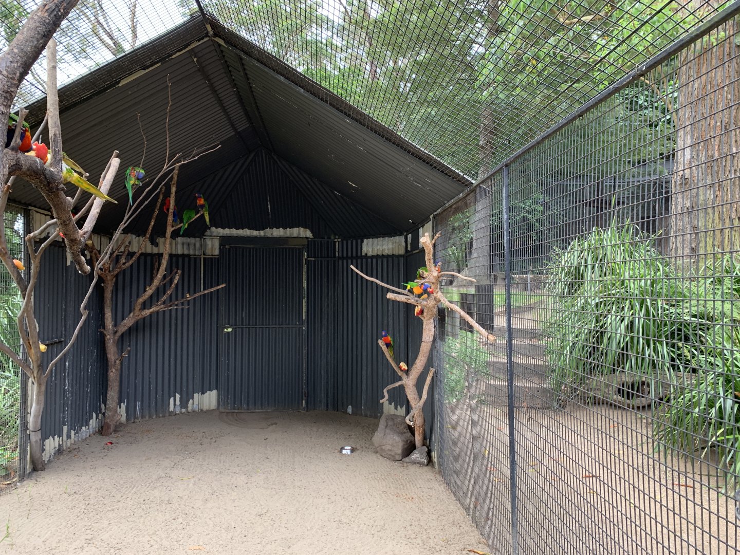 Lorikeet Aviary