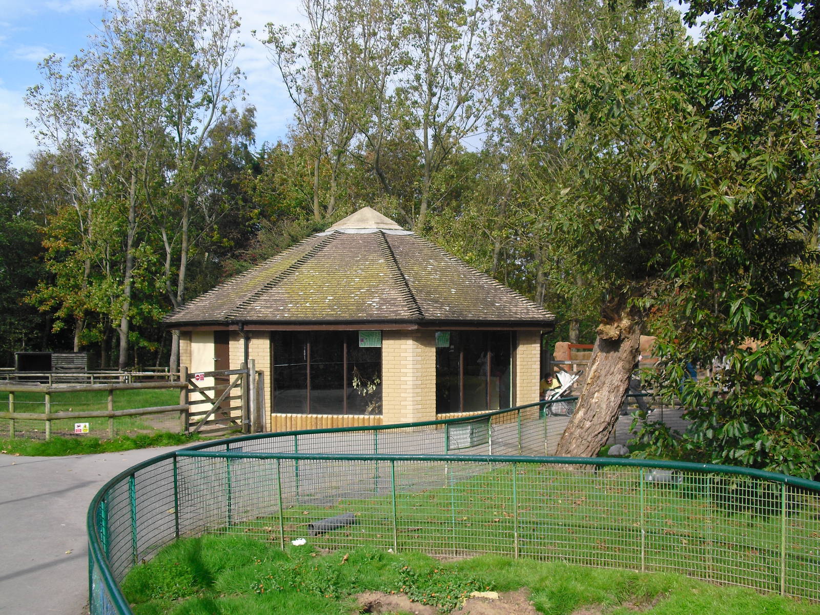 Lorikeet Building (?) - 01/10/2011