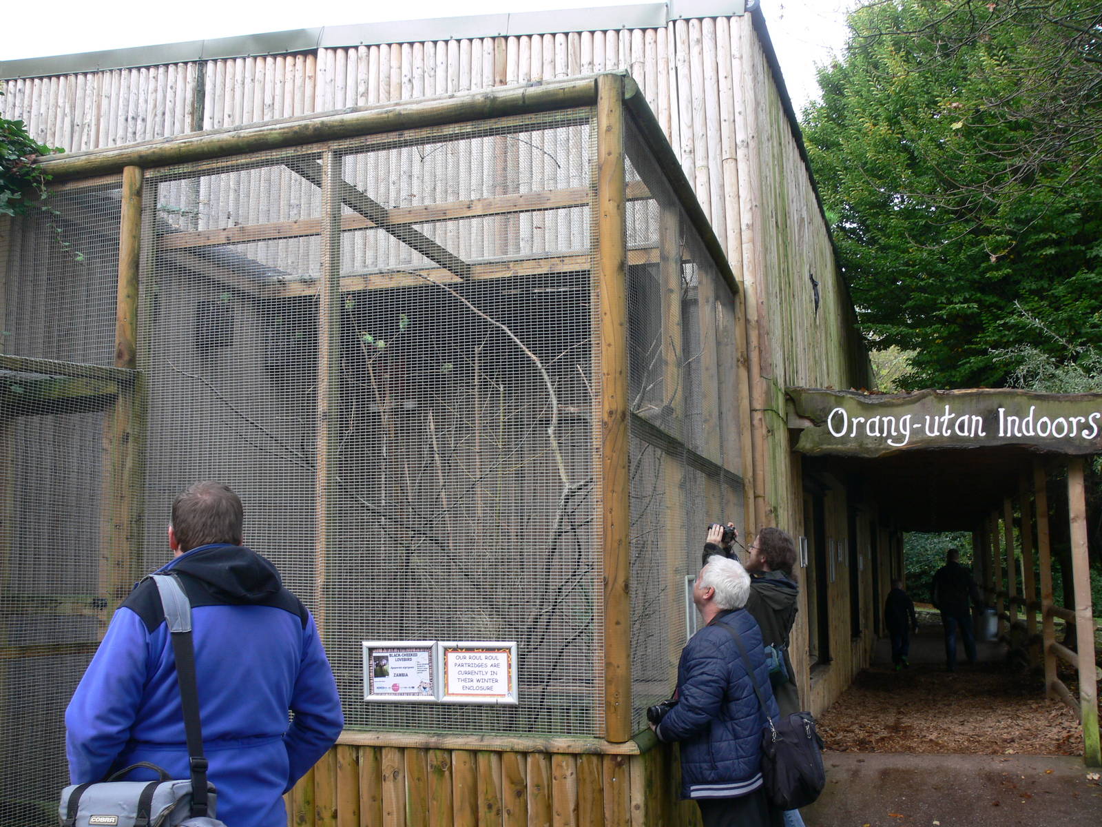 Lorikeet exhibit at Dudley, 02/11/13