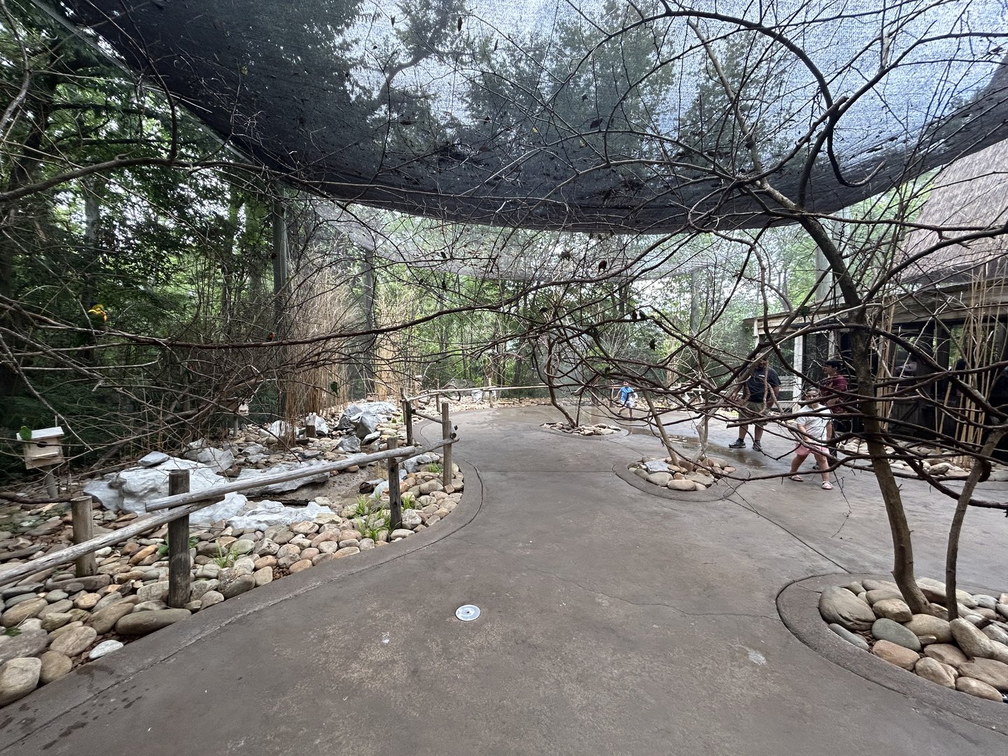 Lorikeet Feeder Aviary