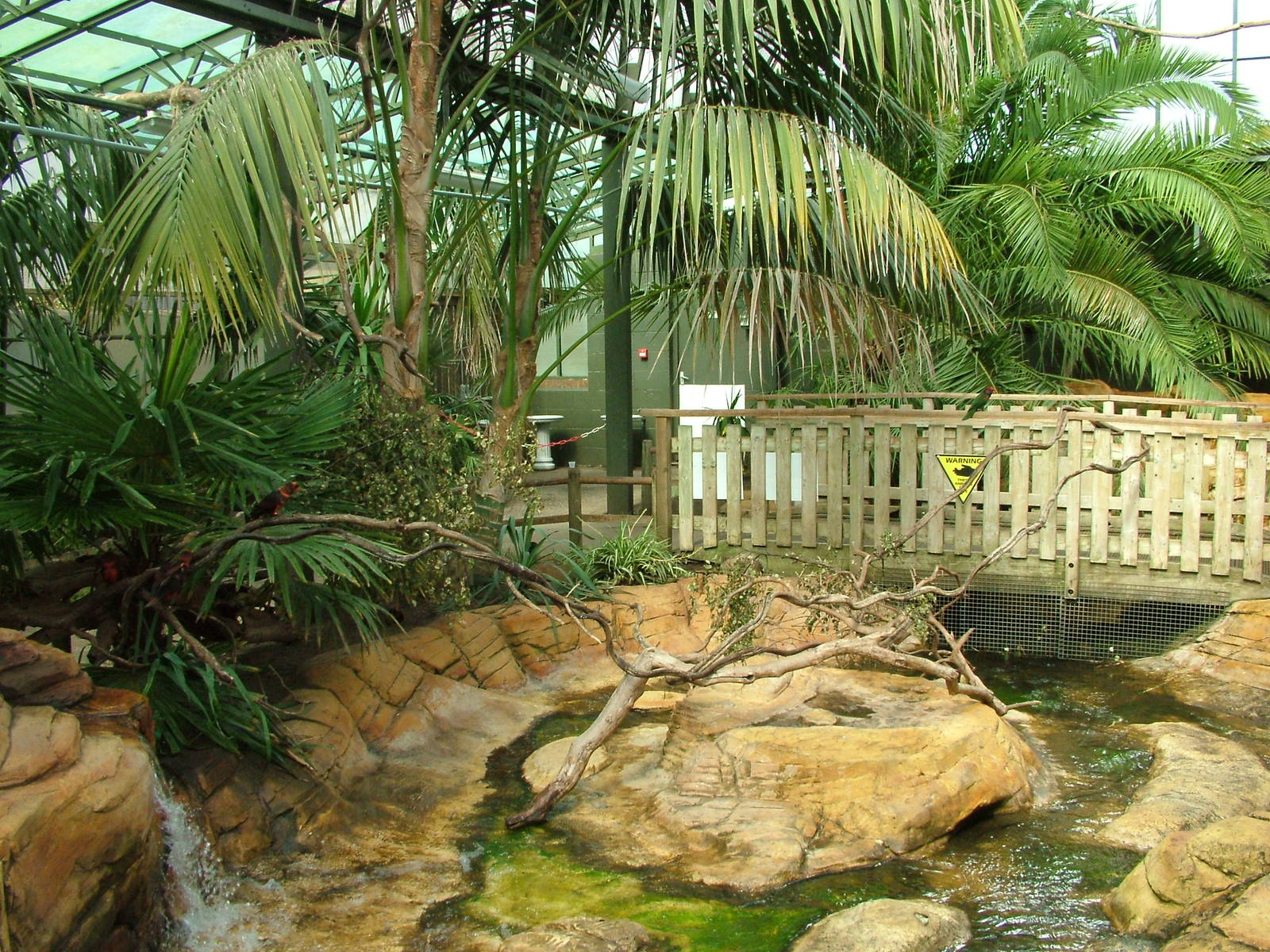 Lorikeet feeding house at Woburn 20/06/09