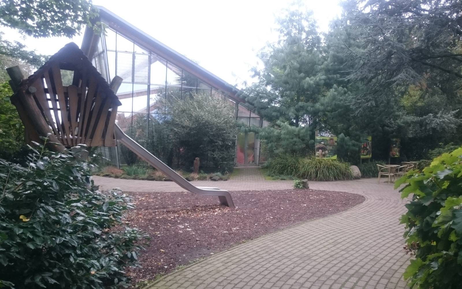 Lorikeet free-flight house