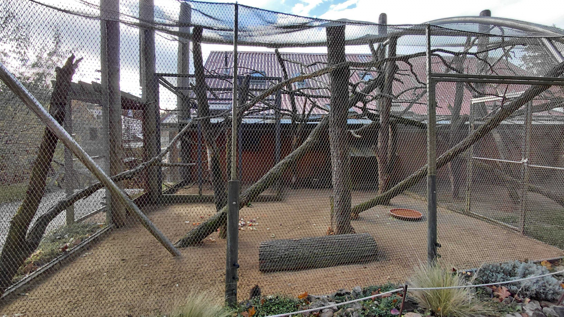 Lorikeet + guinea pig outdoor exhibit