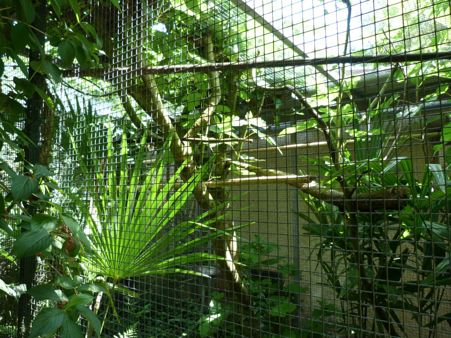 Lorikeet house view -Zoo d'Asson (2025)