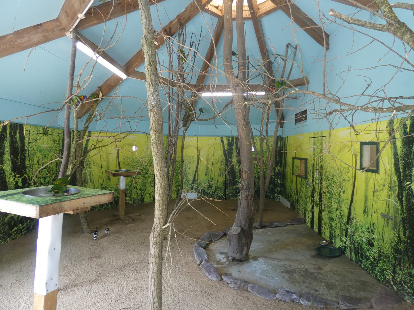 Lorikeet indoor enclosure