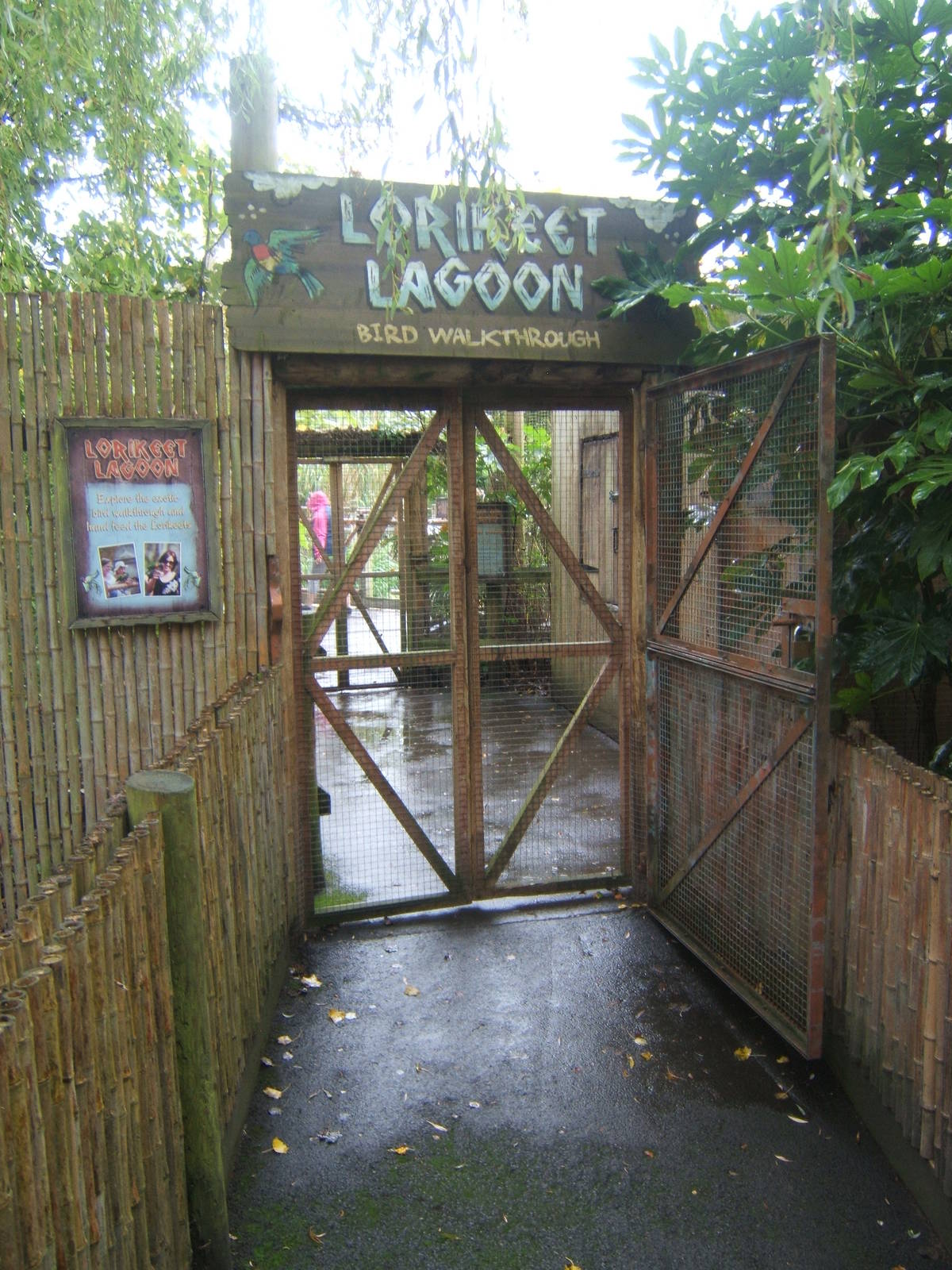 Lorikeet lagoon entrance