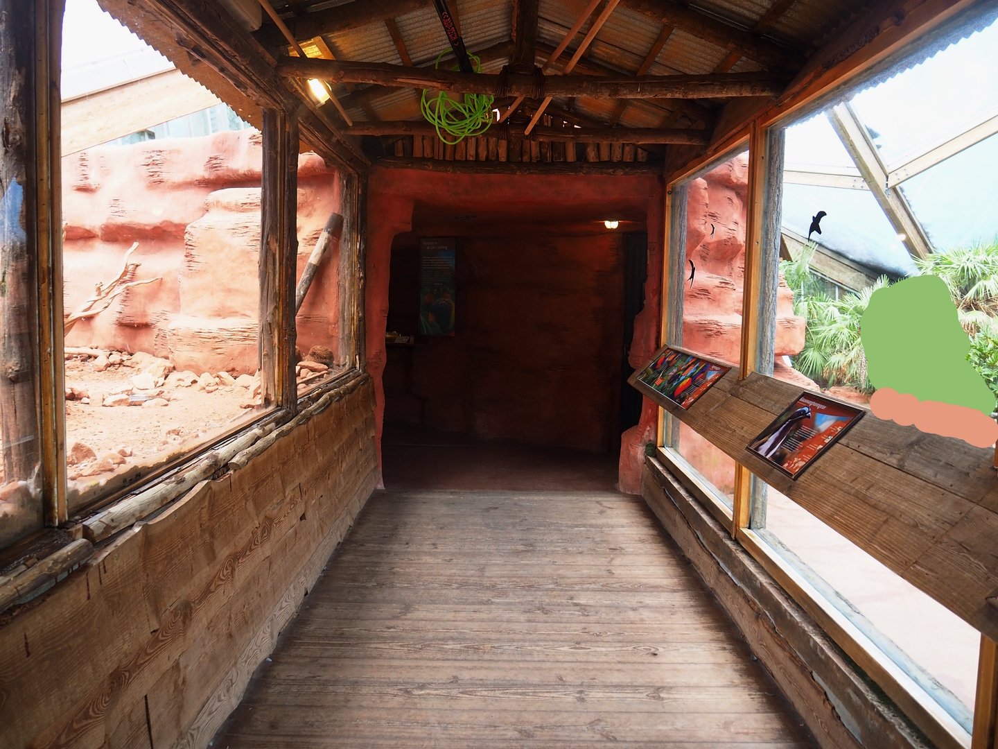 Lorikeet Landing - Access tunnel with viewing windows, 2022-08-28