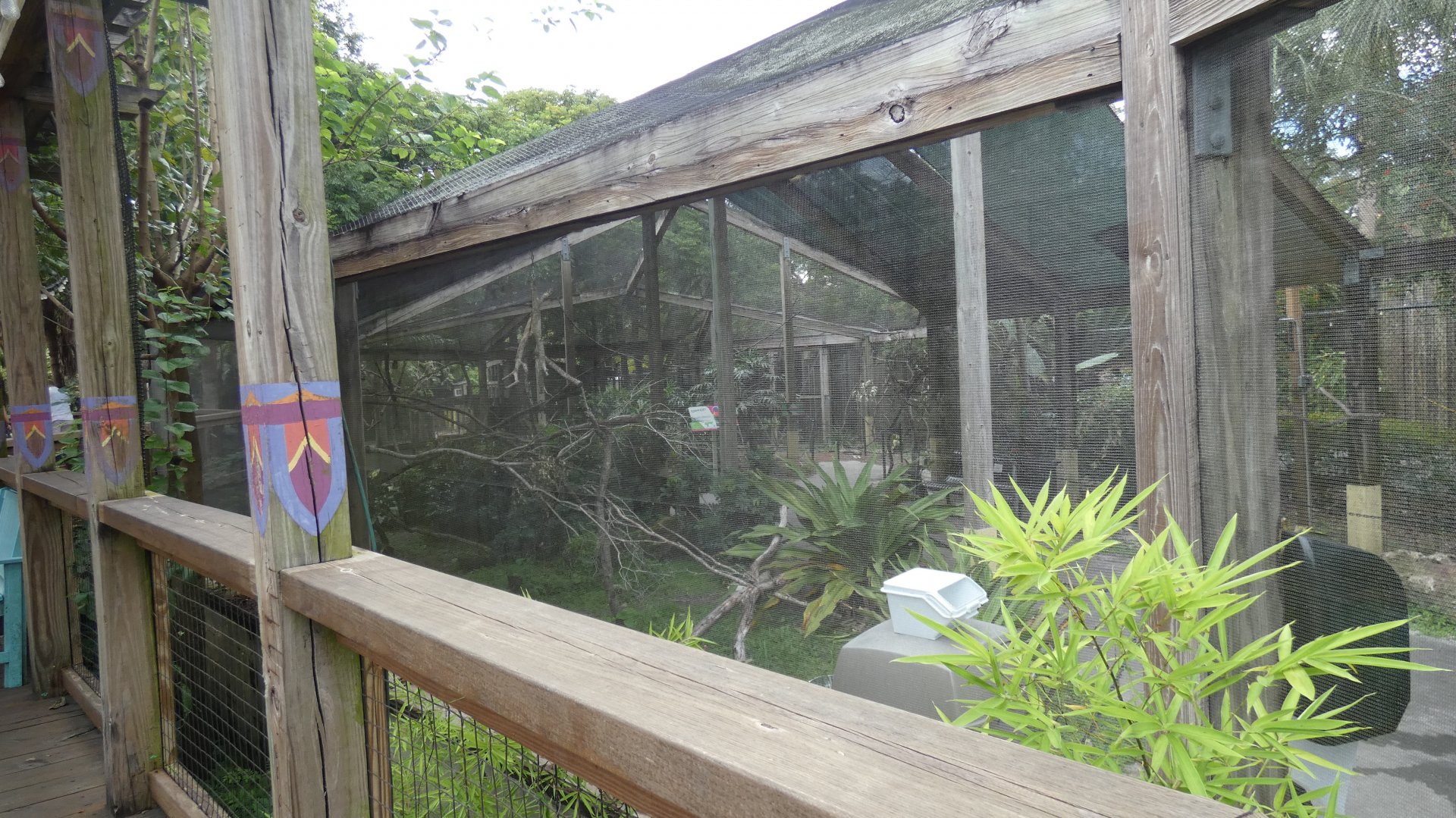 Lorikeet Landing, Asian Gardens - Aug. 2021