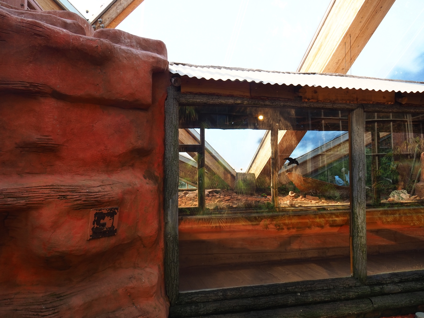 Lorikeet Landing exit corridor (Sep 2nd, 2018)