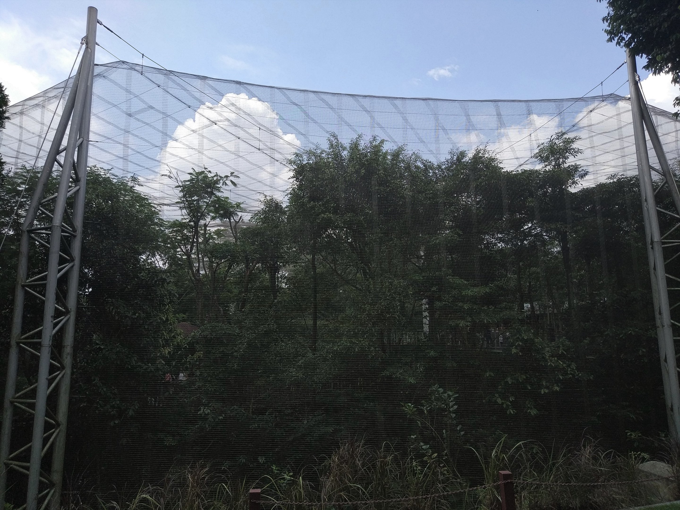 Lorikeet Landing exterior