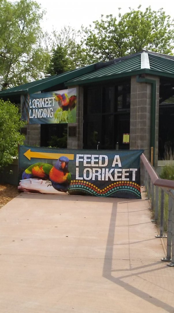 Lorikeet Landing- Outside