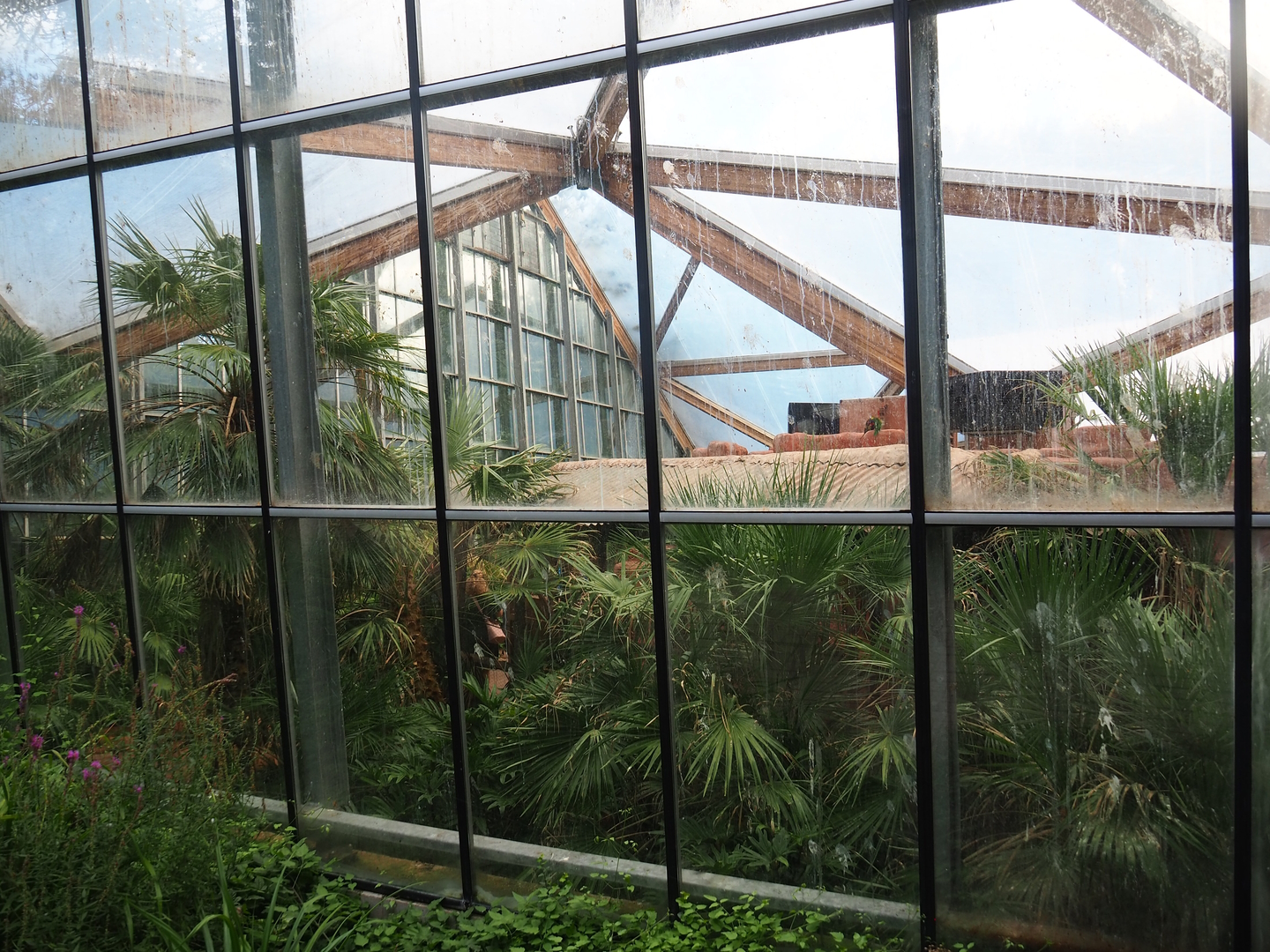 Lorikeet Landing seen from the outside, 2022-08-28