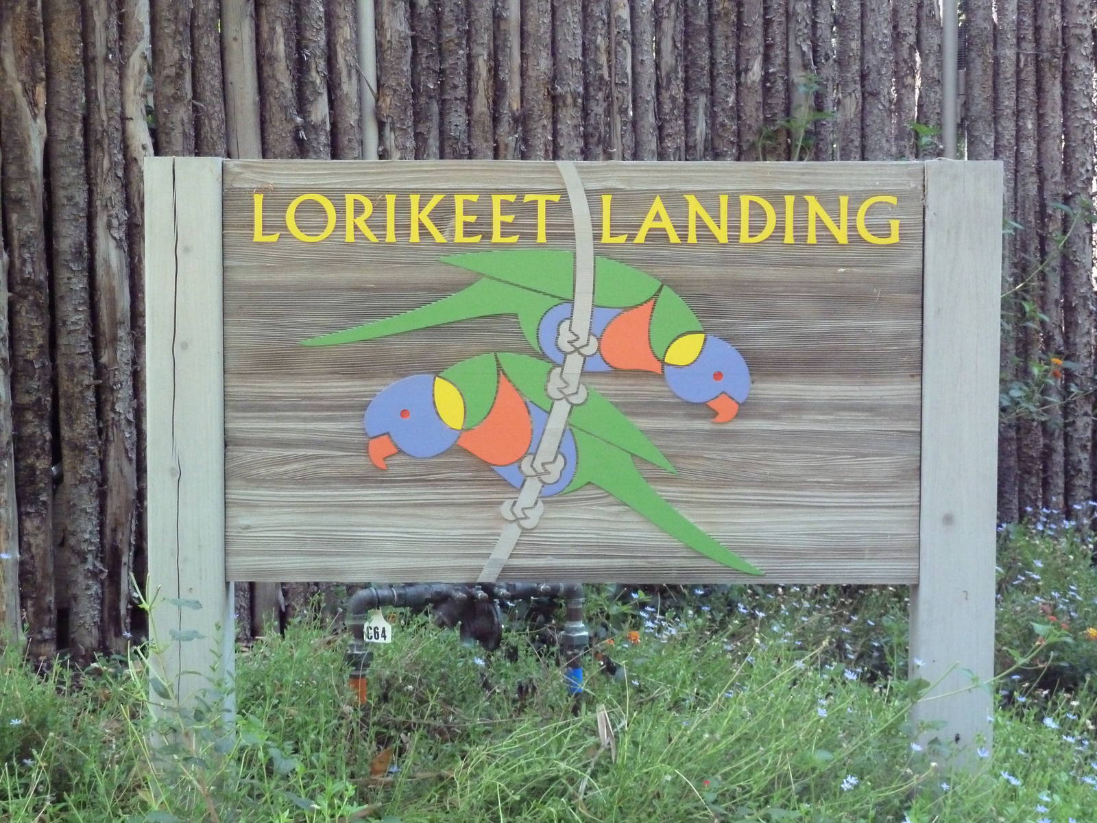 Lorikeet Landing Sign