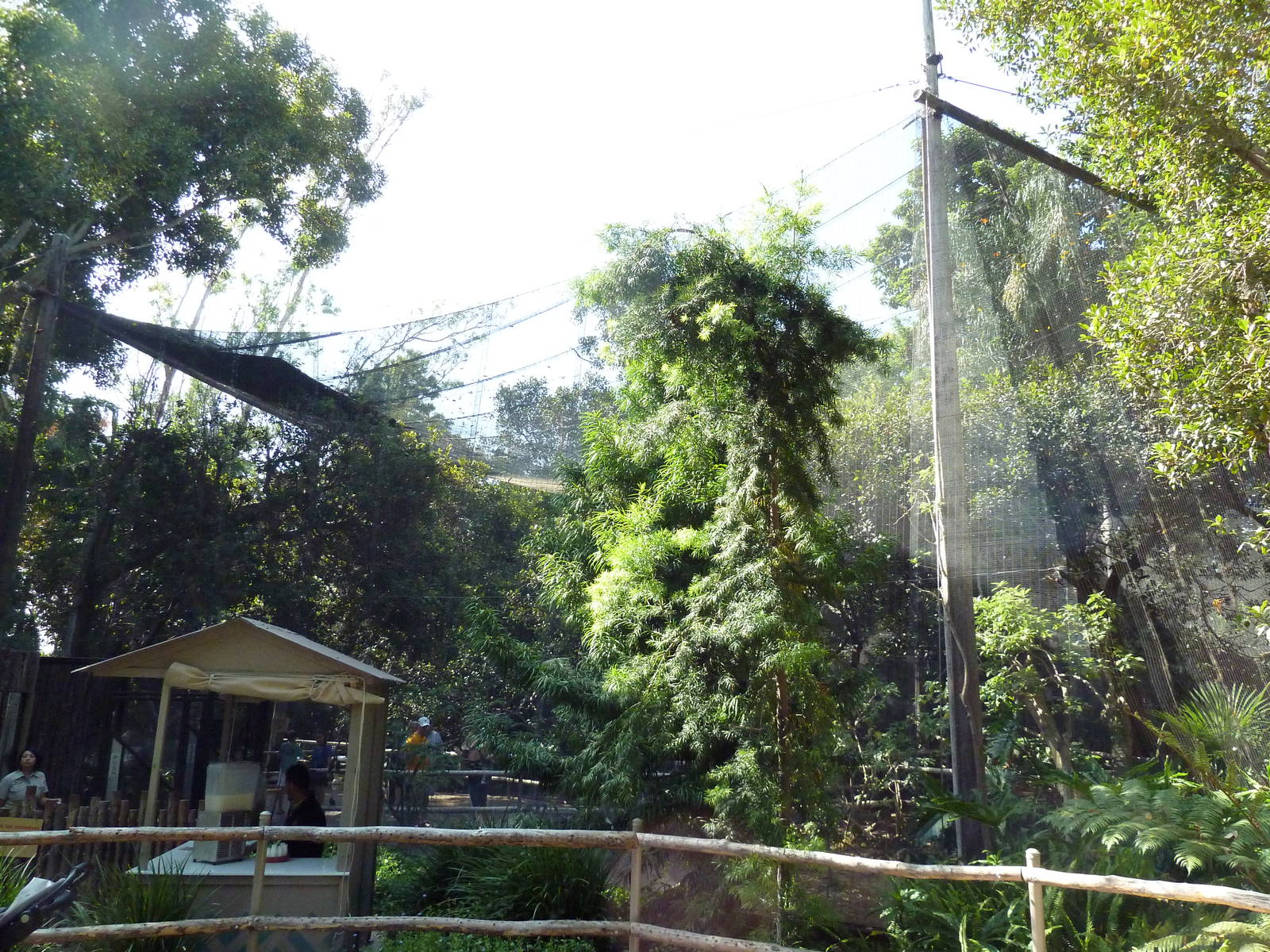 Lorikeet Landing Walk-Through Aviary