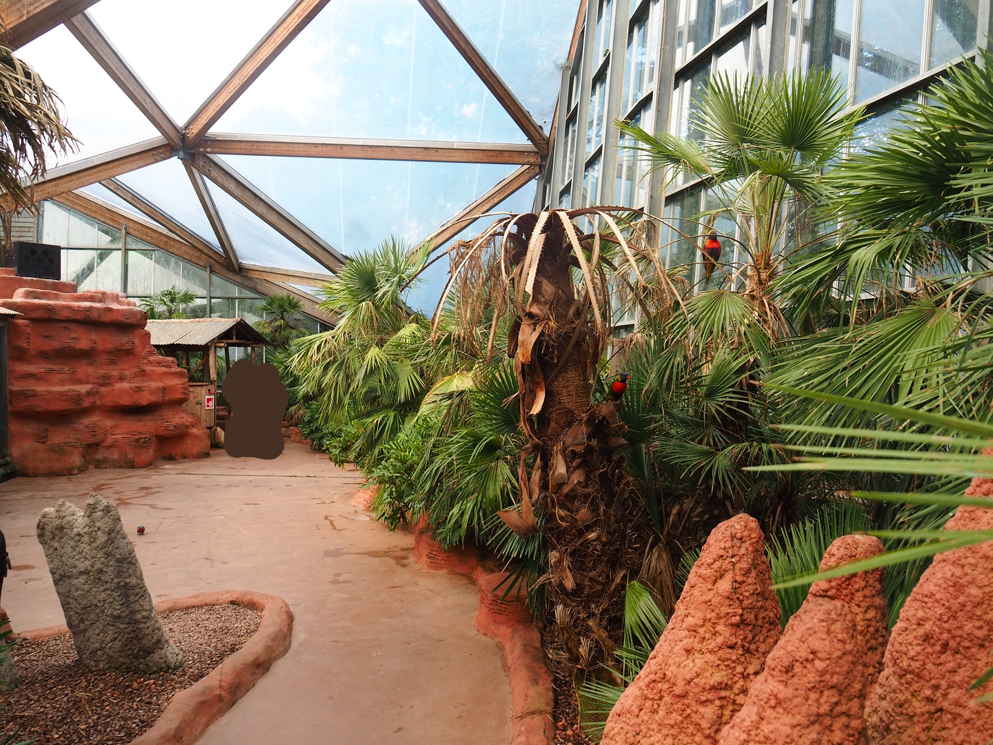 Lorikeet Landing walk-through exhibit, 2022-08-28