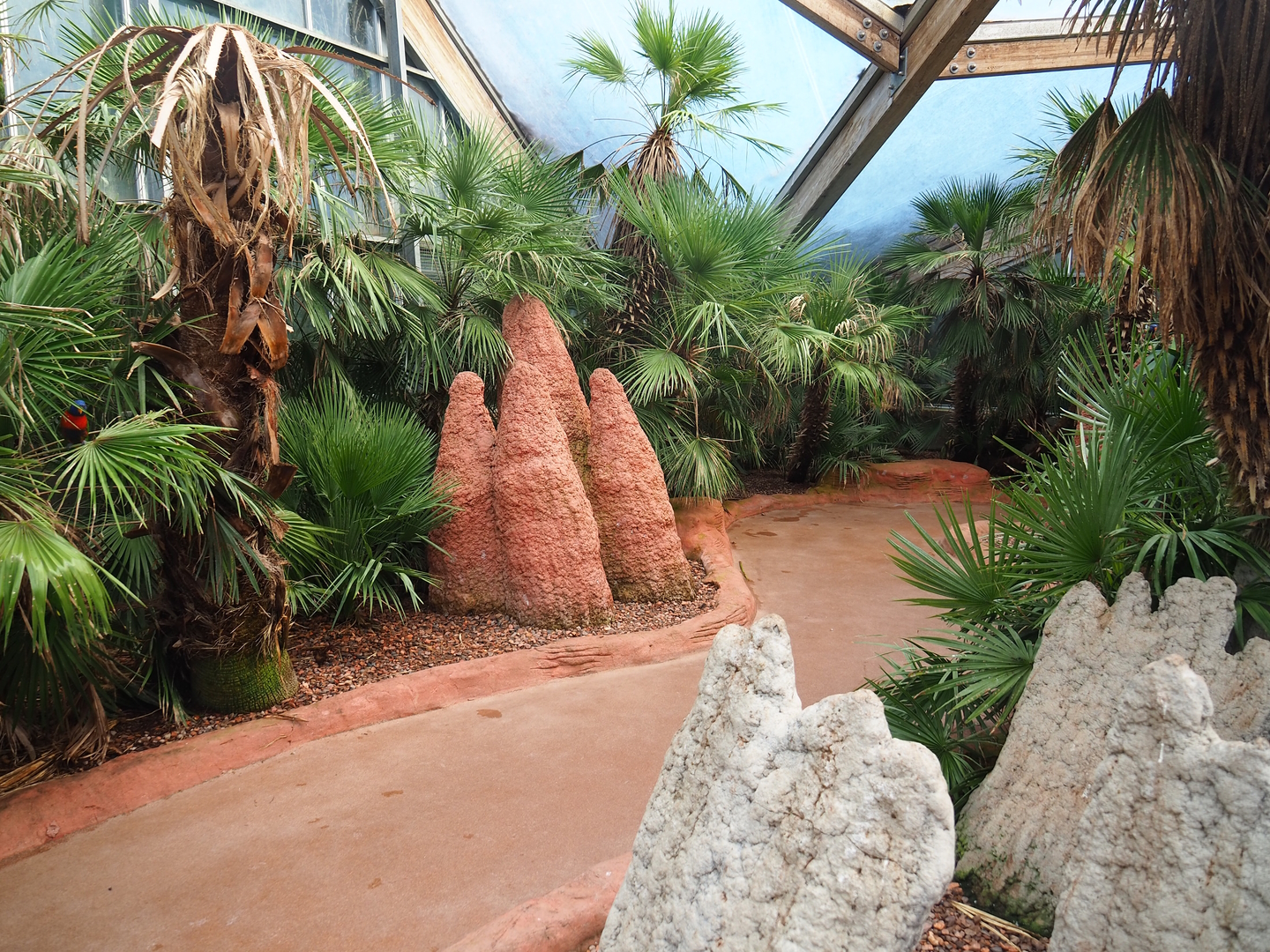 Lorikeet Landing walk-through exhibit, 2022-08-28