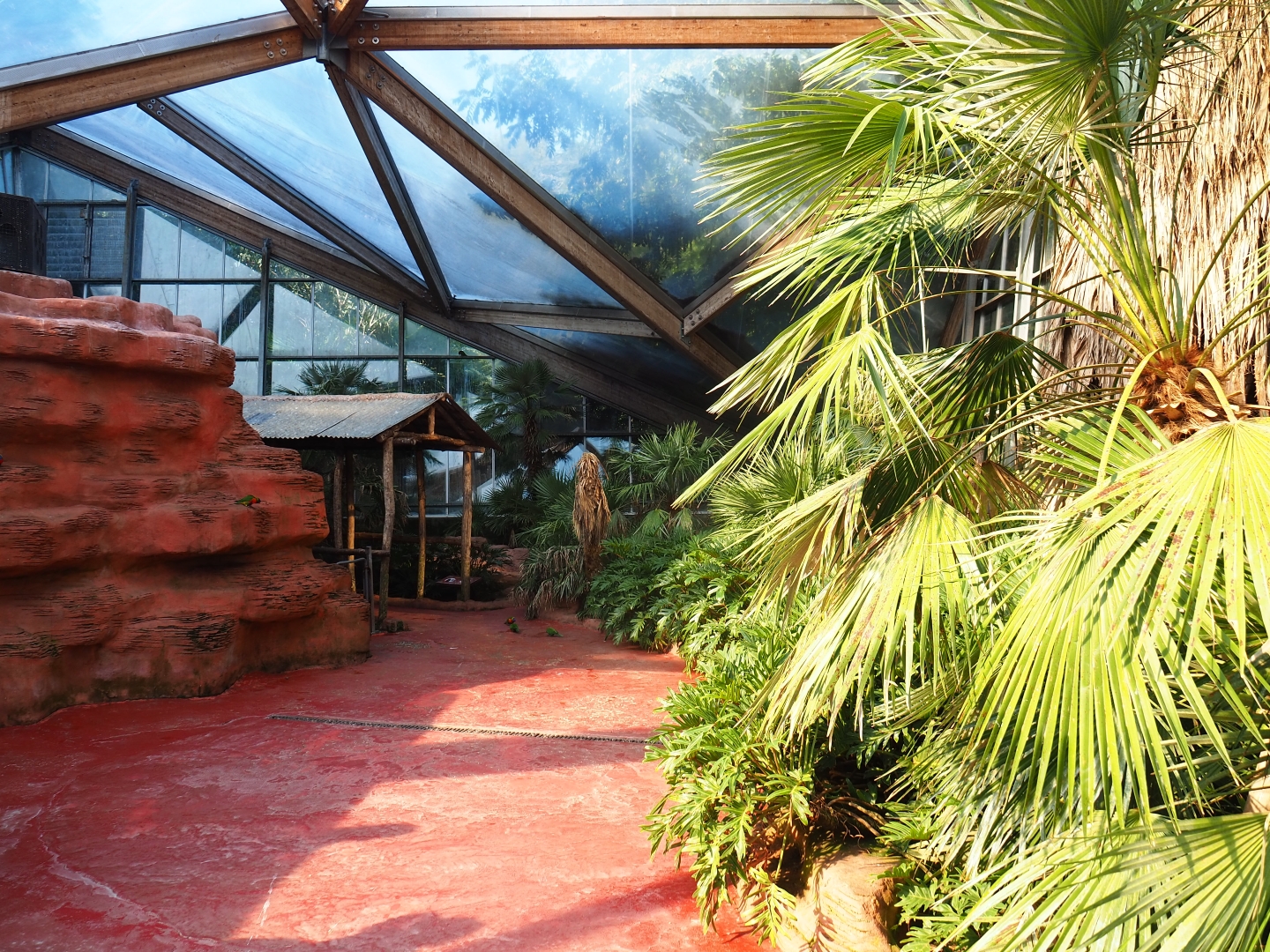 Lorikeet Landing walk-through (Sep 2nd, 2018)