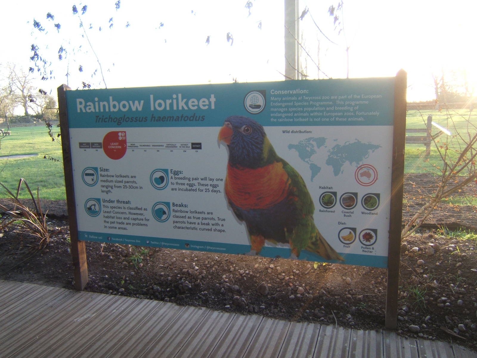Lorikeet Landings signage