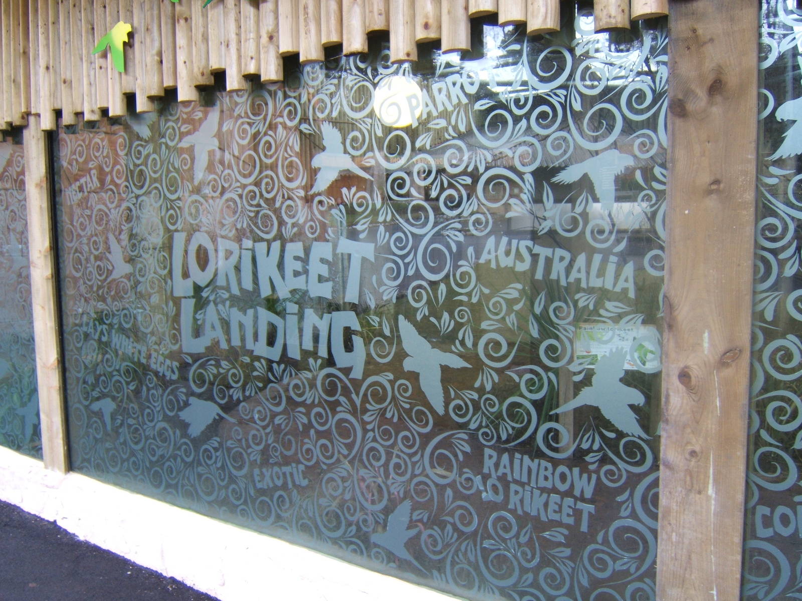 Lorikeet Landings windows