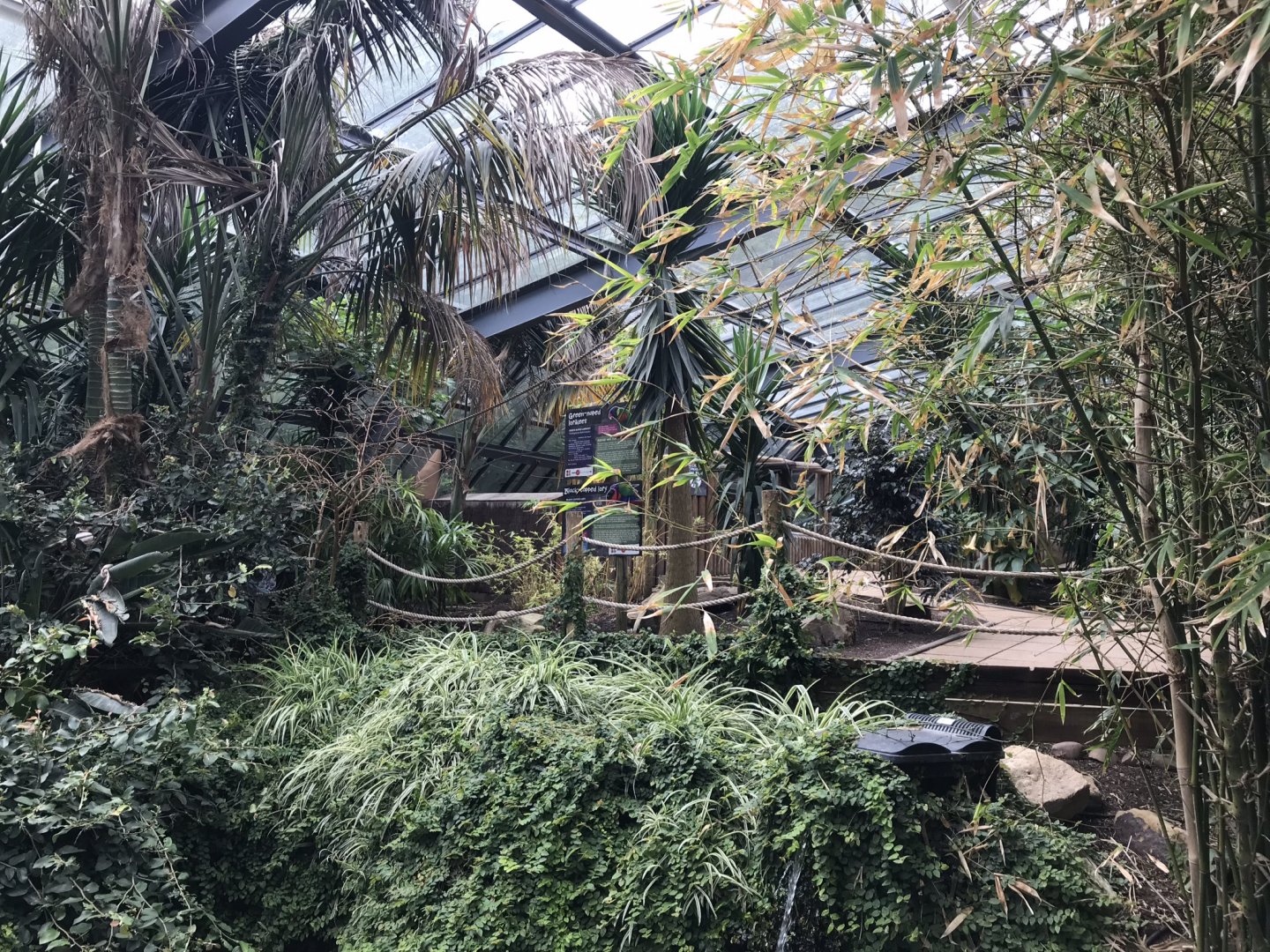 Lorikeet Lookout 230619