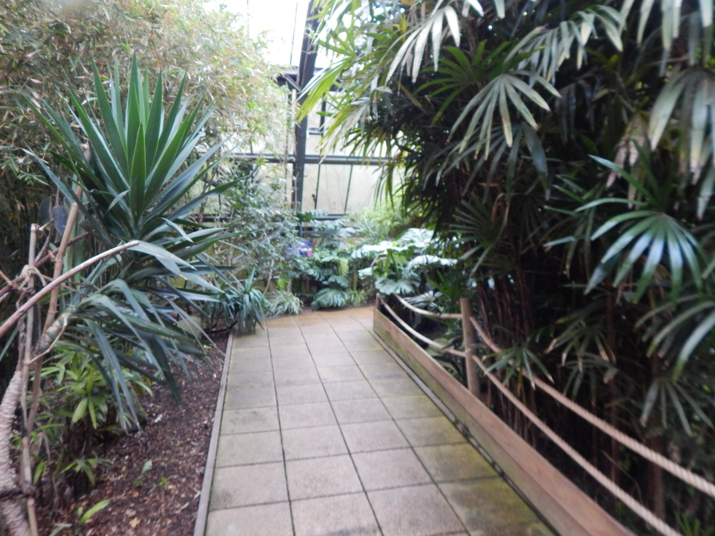 Lorikeet Lookout 241122