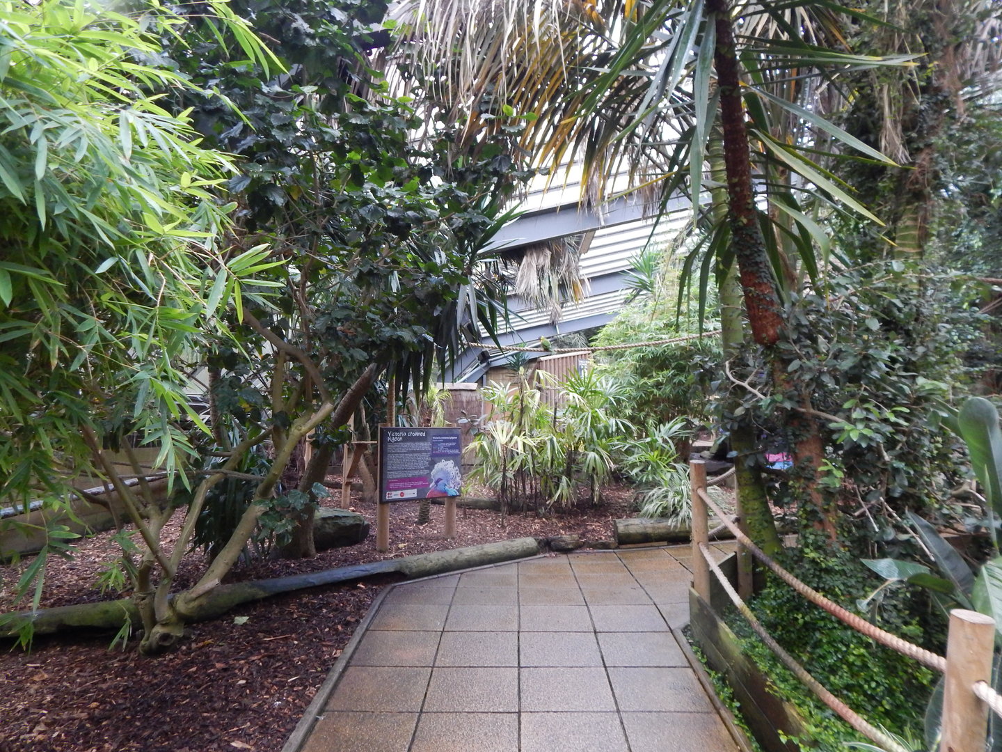 Lorikeet Lookout 241122