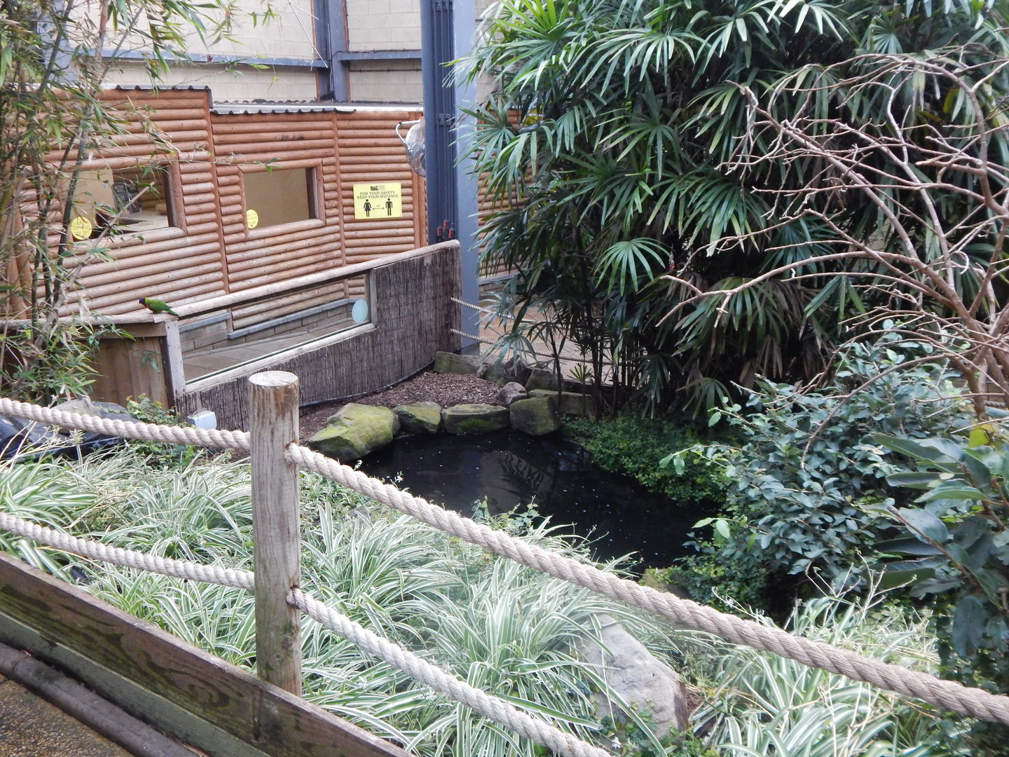 Lorikeet Lookout 241122